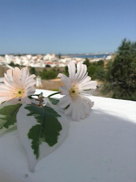 CasaDuarte "Balcony" (2 bedroom Apt.) view 3