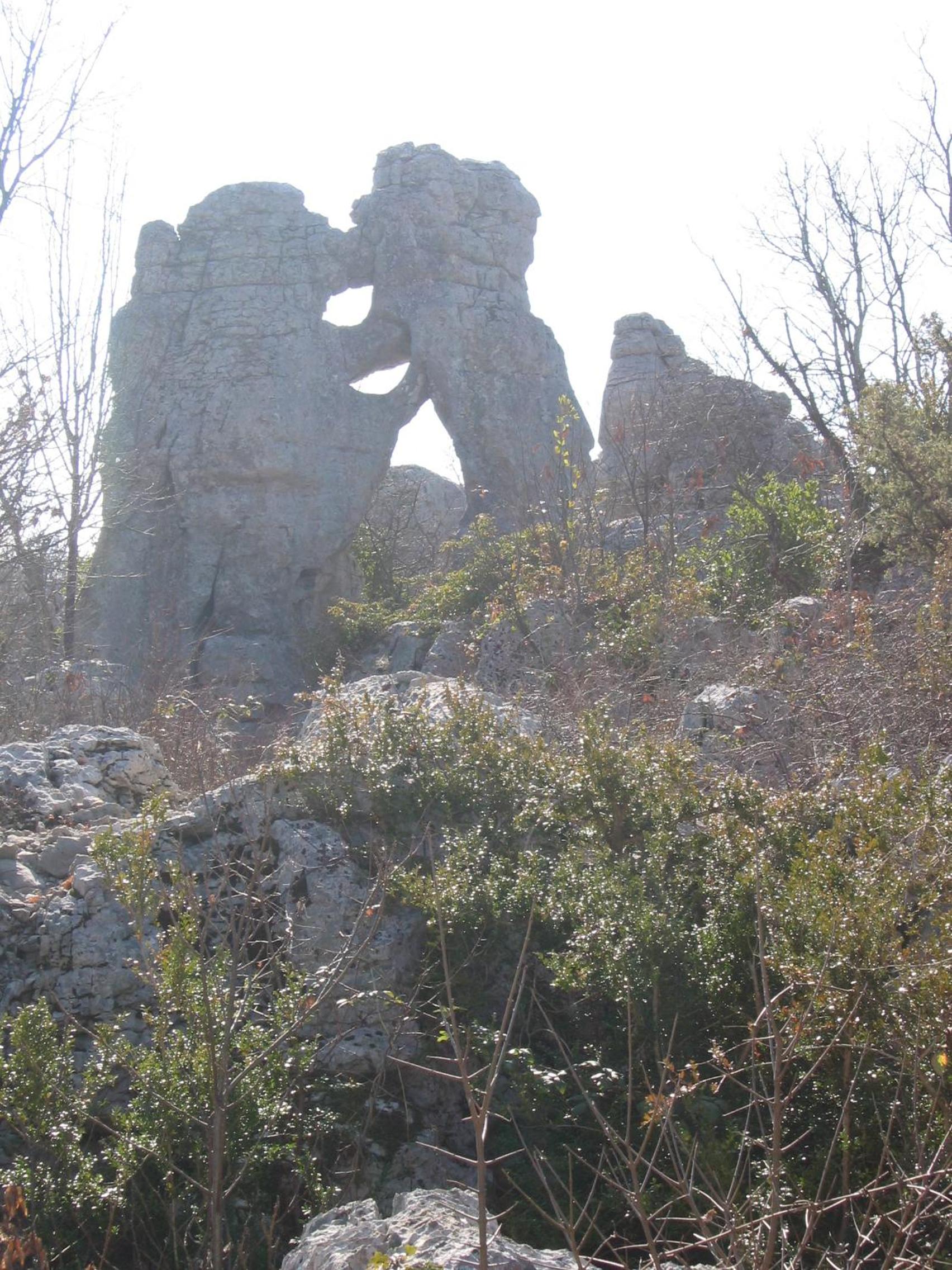 Photo 44
