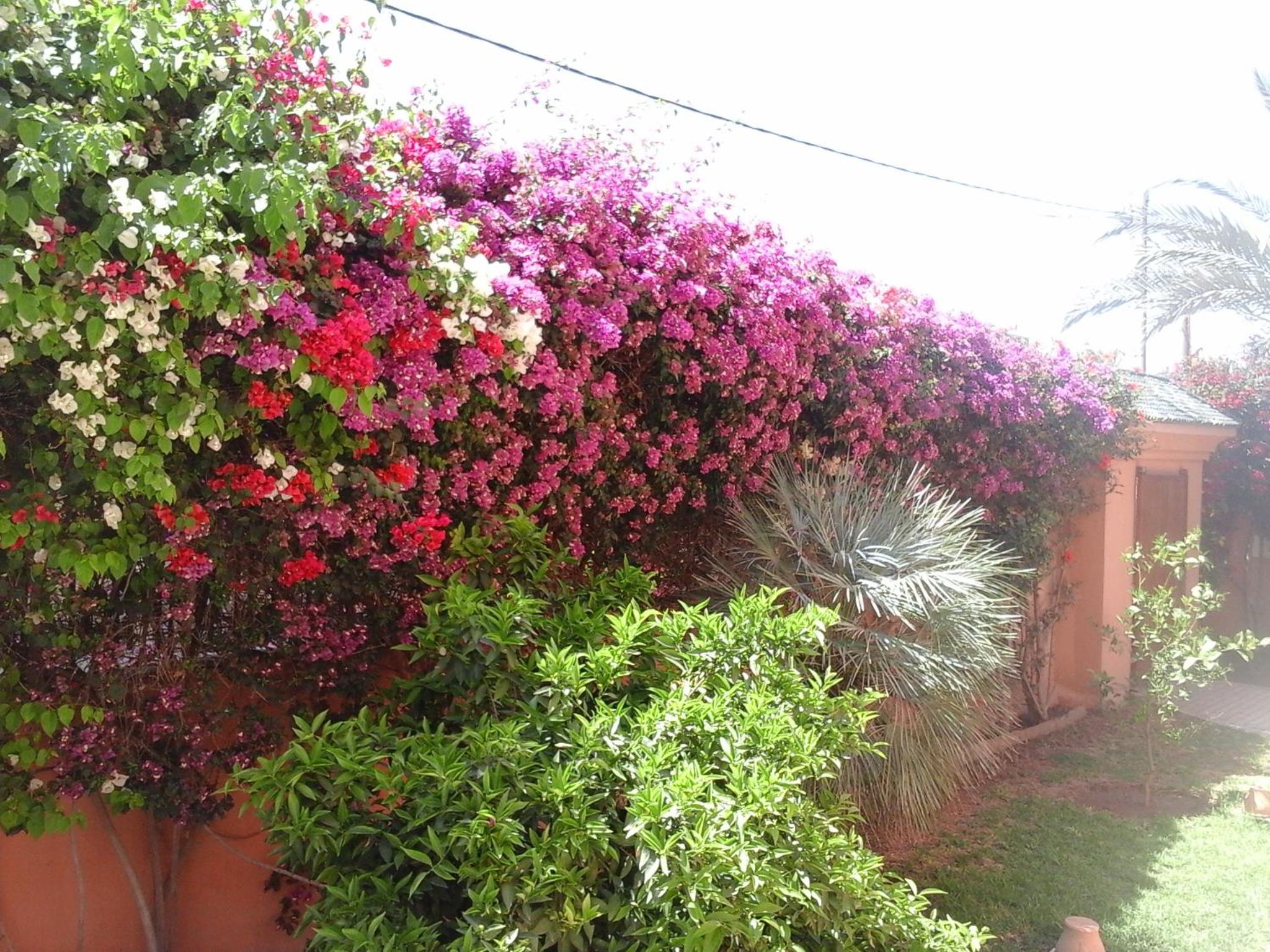 Photo 27