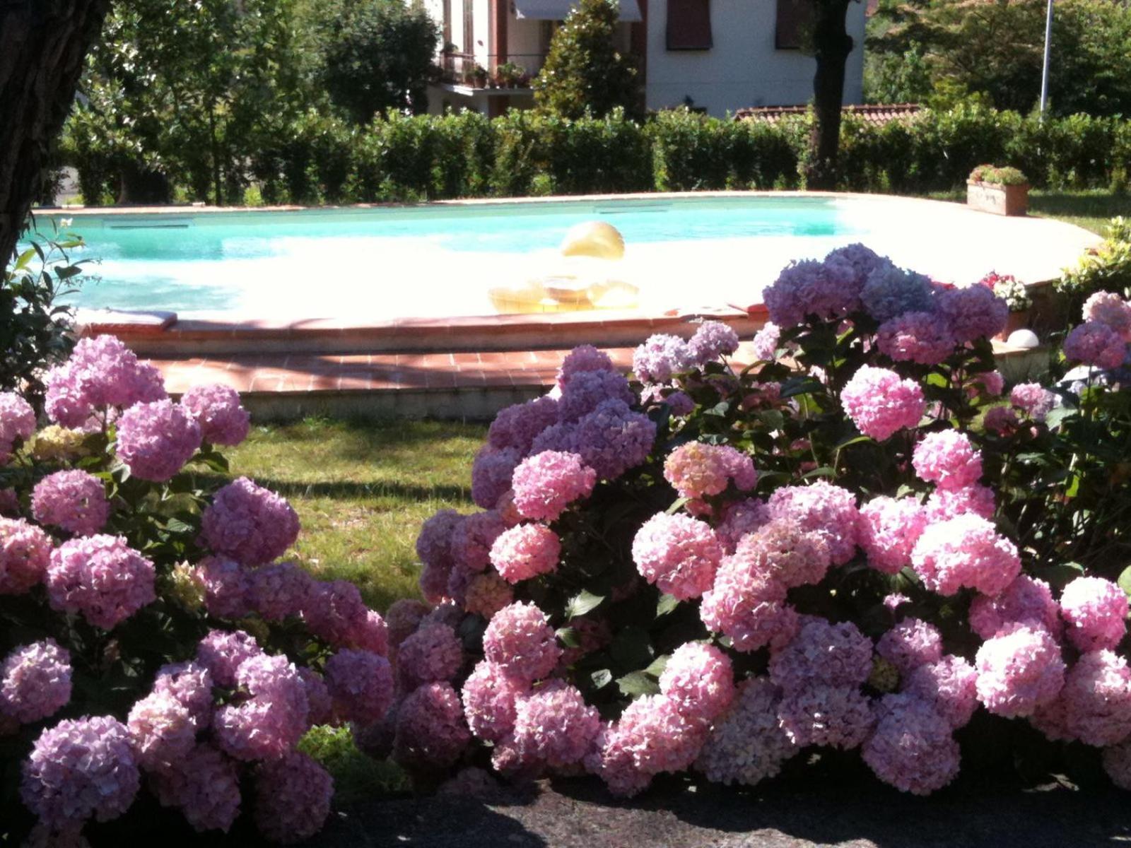 Villa La Ginestra - Charming Country Home view 3