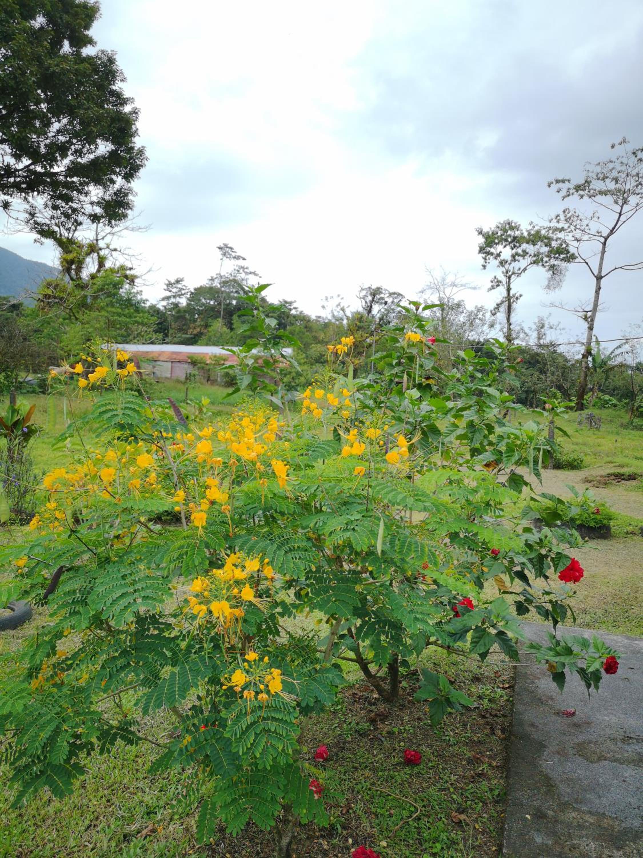 Tío Felix Eco Lodge