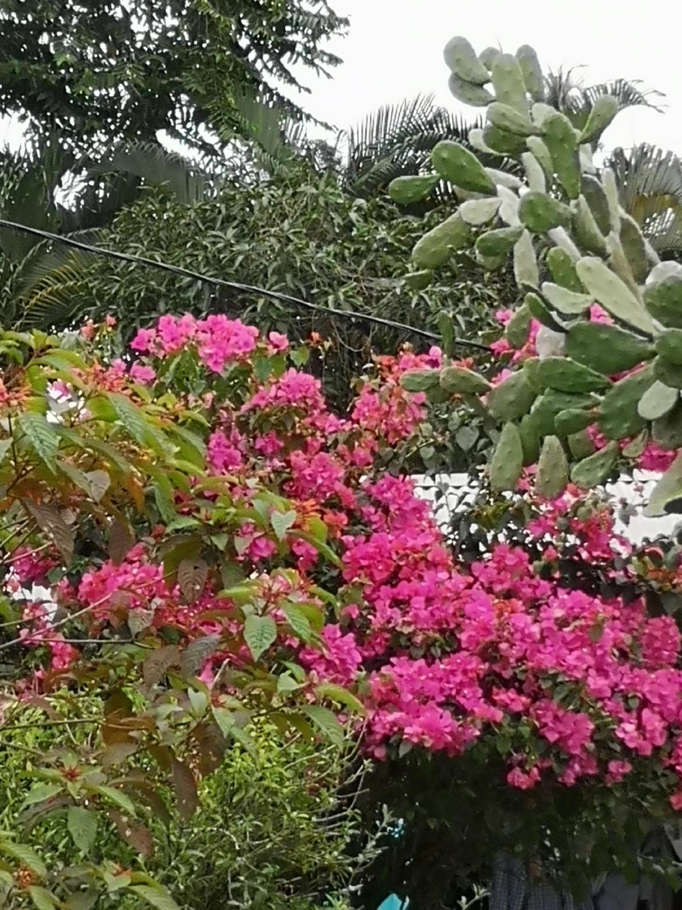 Tío Felix Eco Lodge