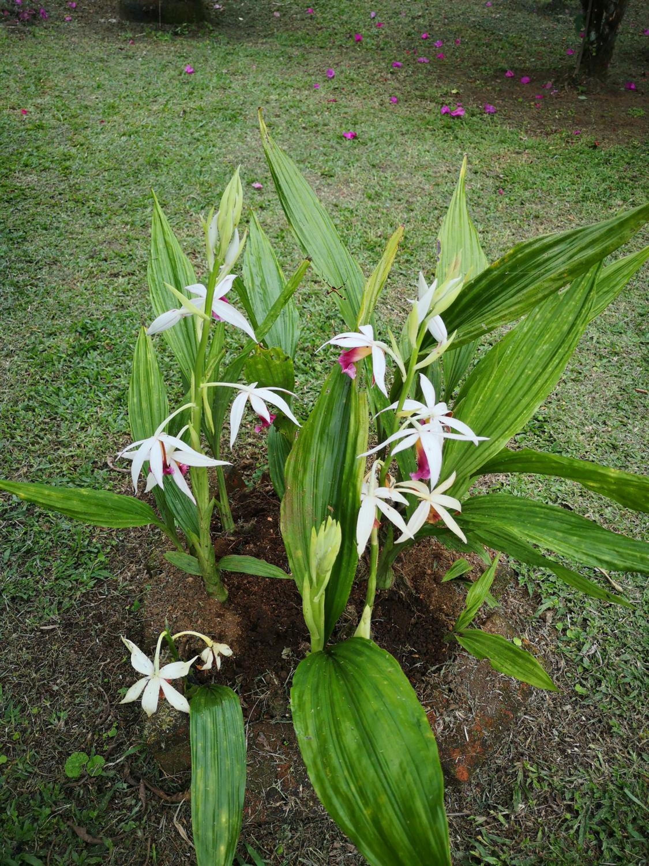Tío Felix Eco Lodge