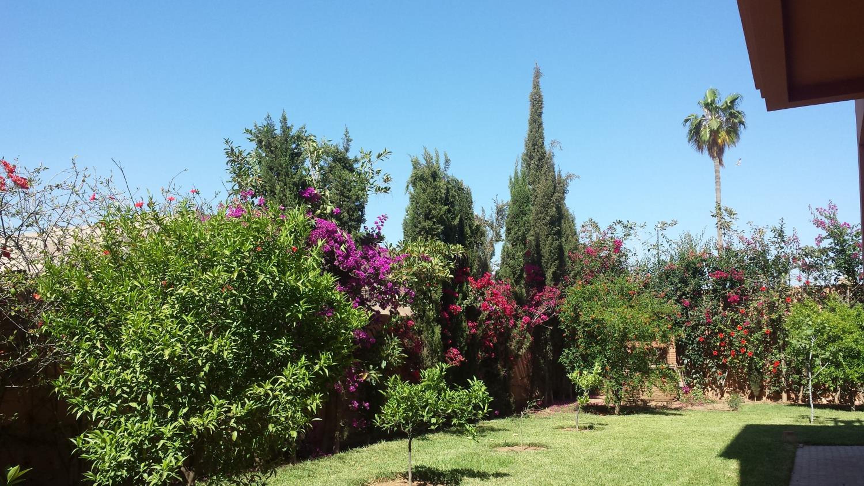 Photo 28