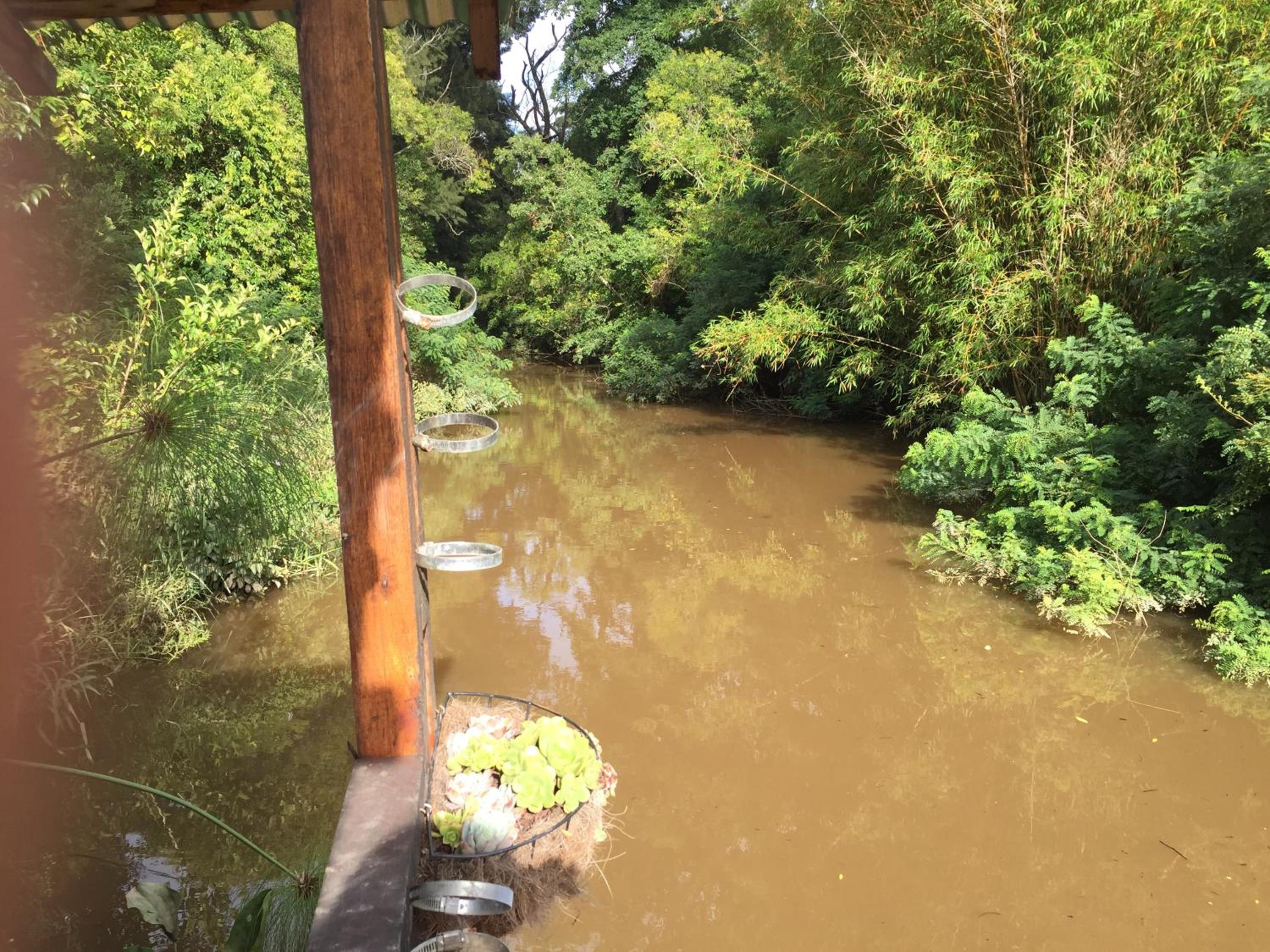 Cabaña en el Delta Arroyo Pajarito a 20 minutos de navegación