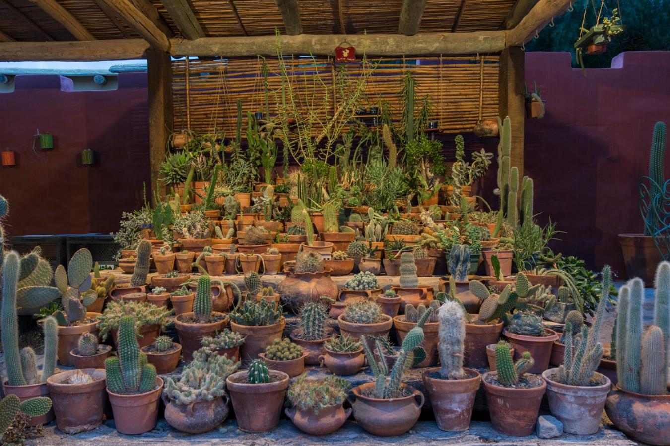 Ecohotel Posta de Purmamarca