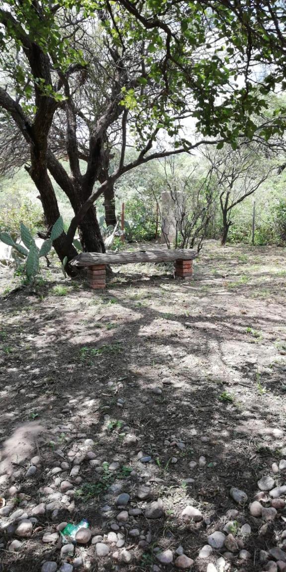 Jardin de Estrellas