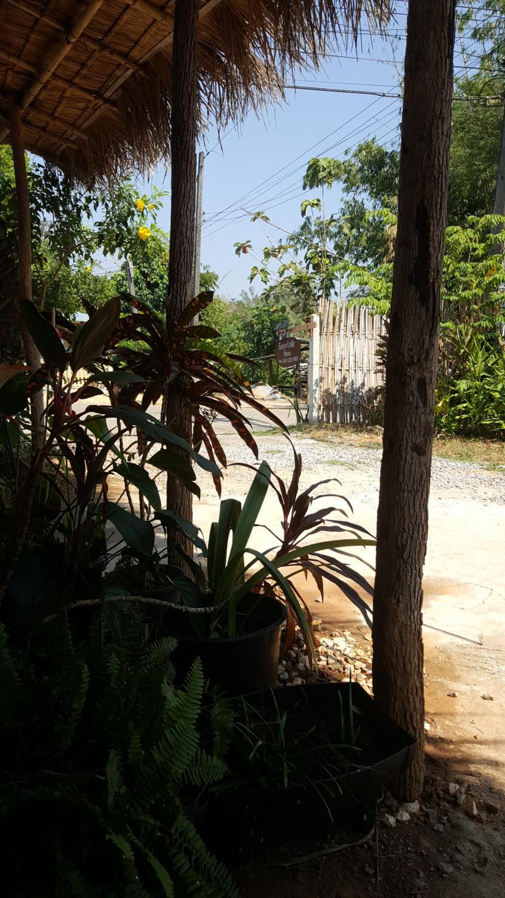 Sweetville Home view 2