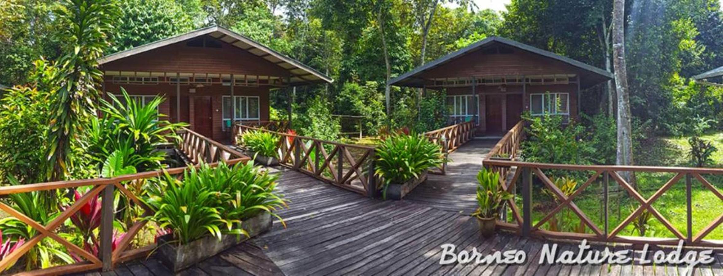 Borneo Nature Lodge photo 3