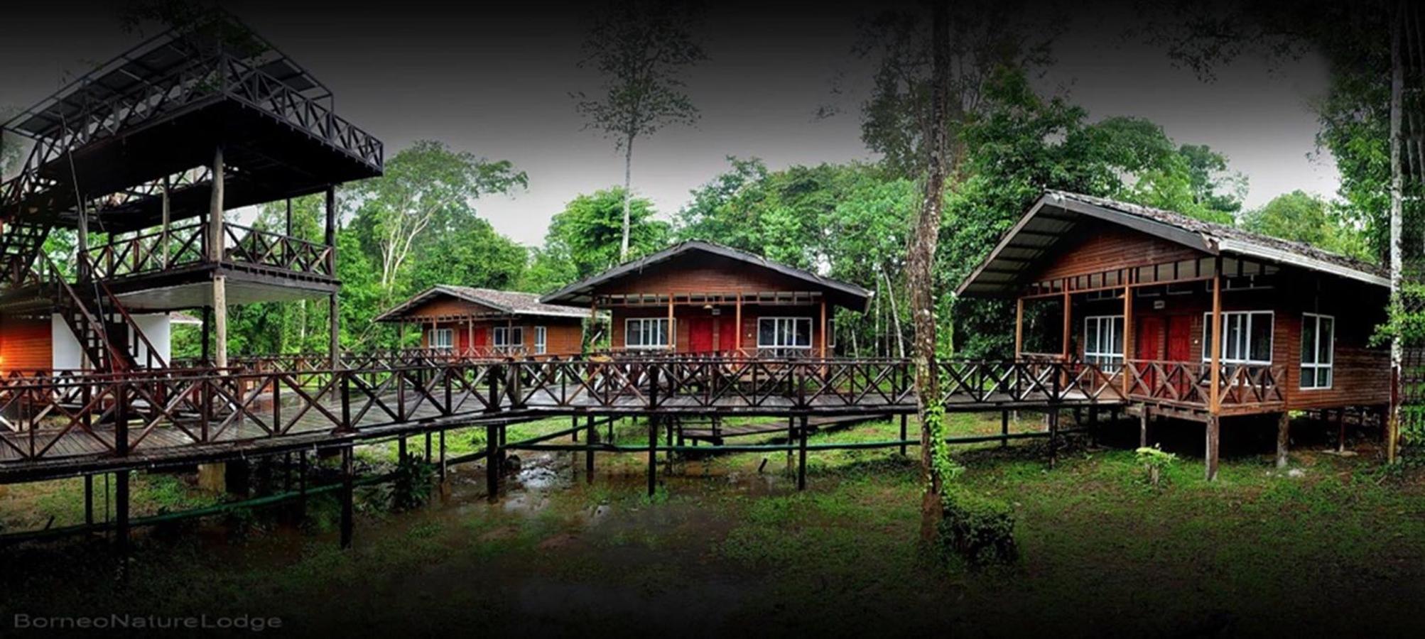 Borneo Nature Lodge photo 1