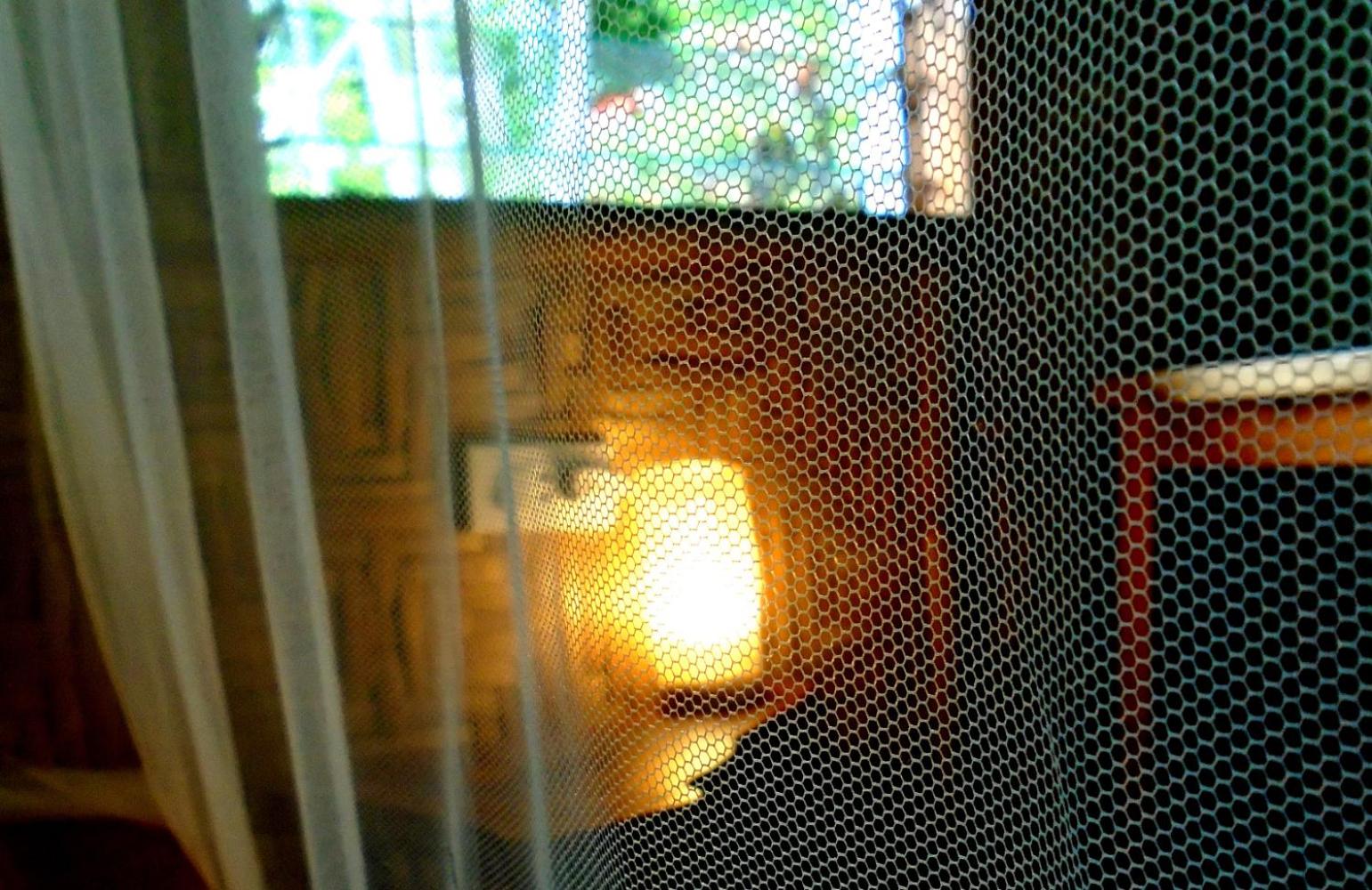 Nypa Style Resort Camiguin — photo 76