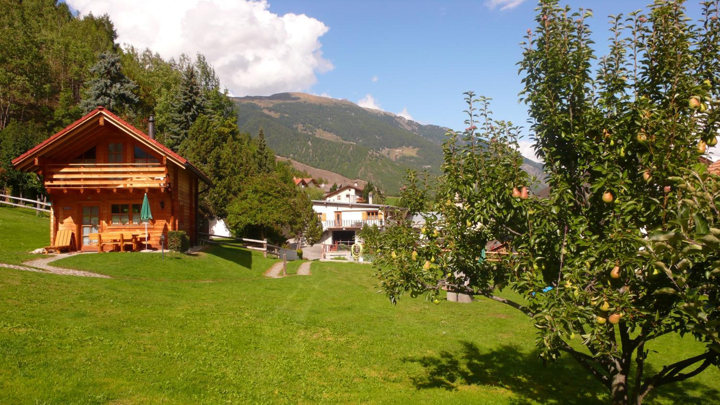 Chalets Trafögl