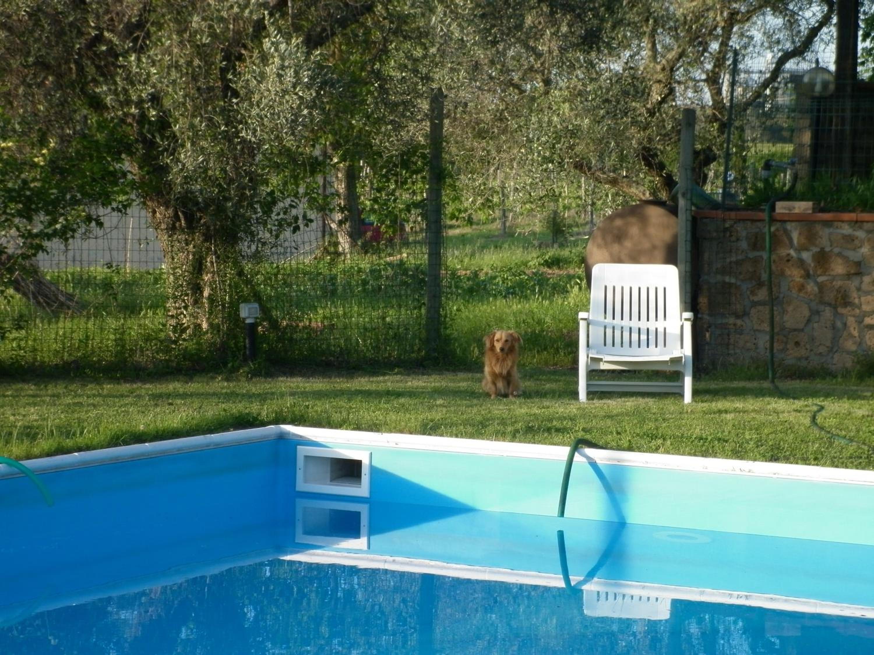Photo 31