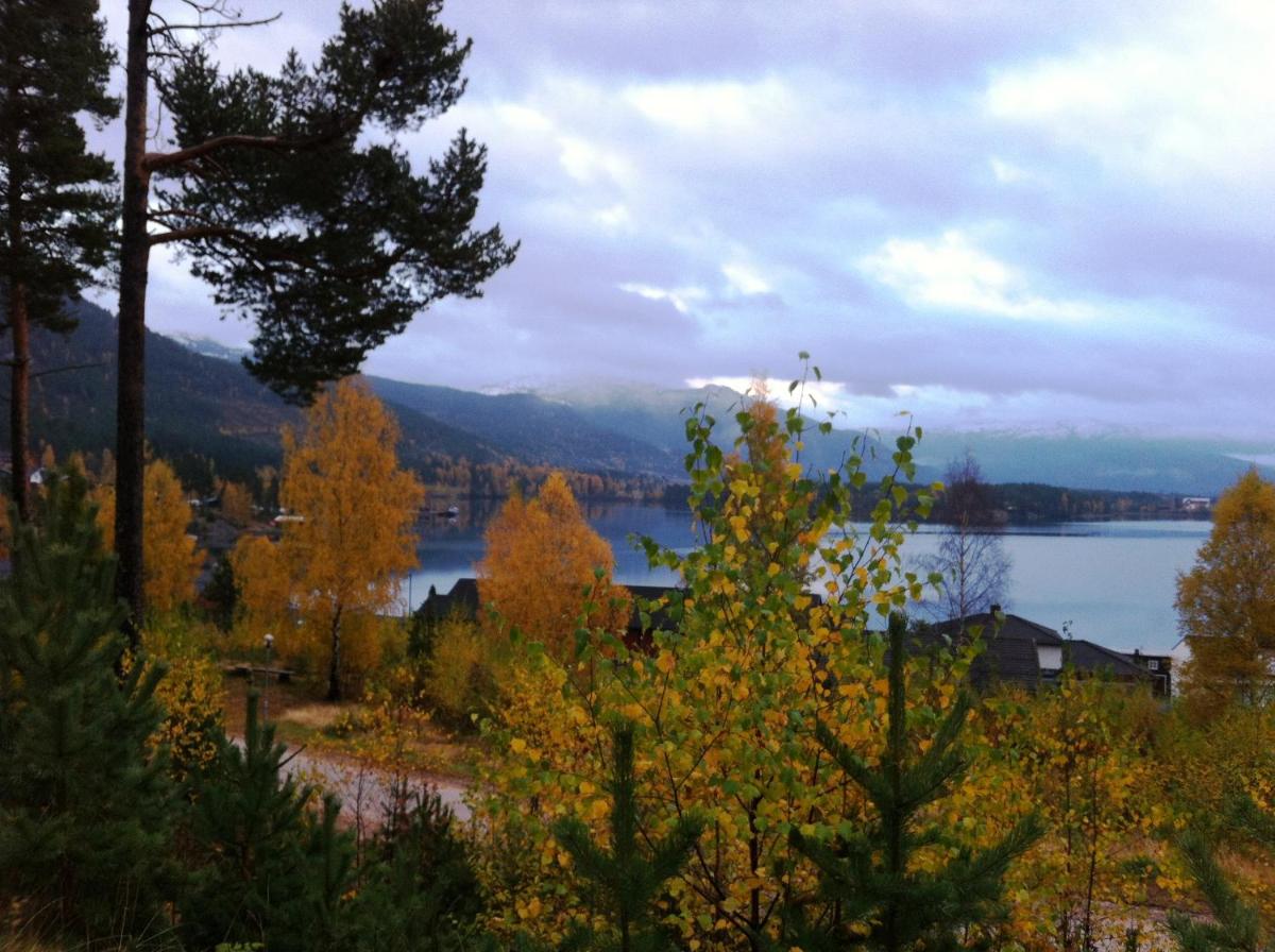 Photo 42