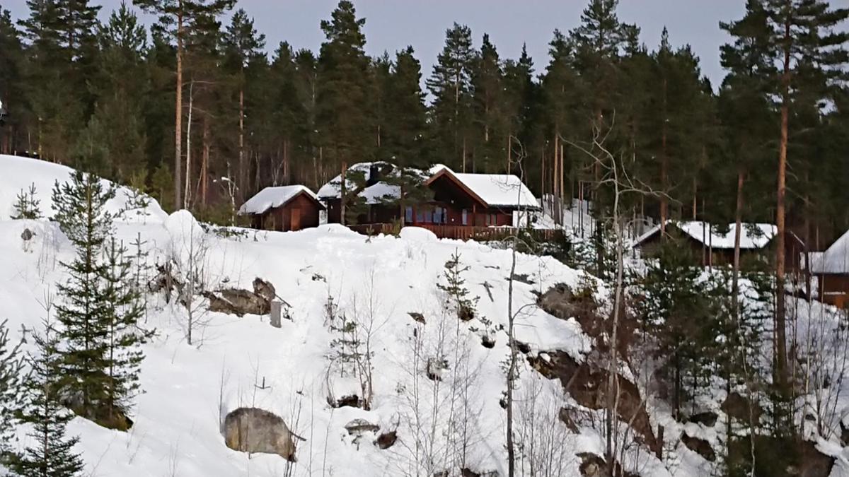 Vradal Eidstod vakantiehuis view 4