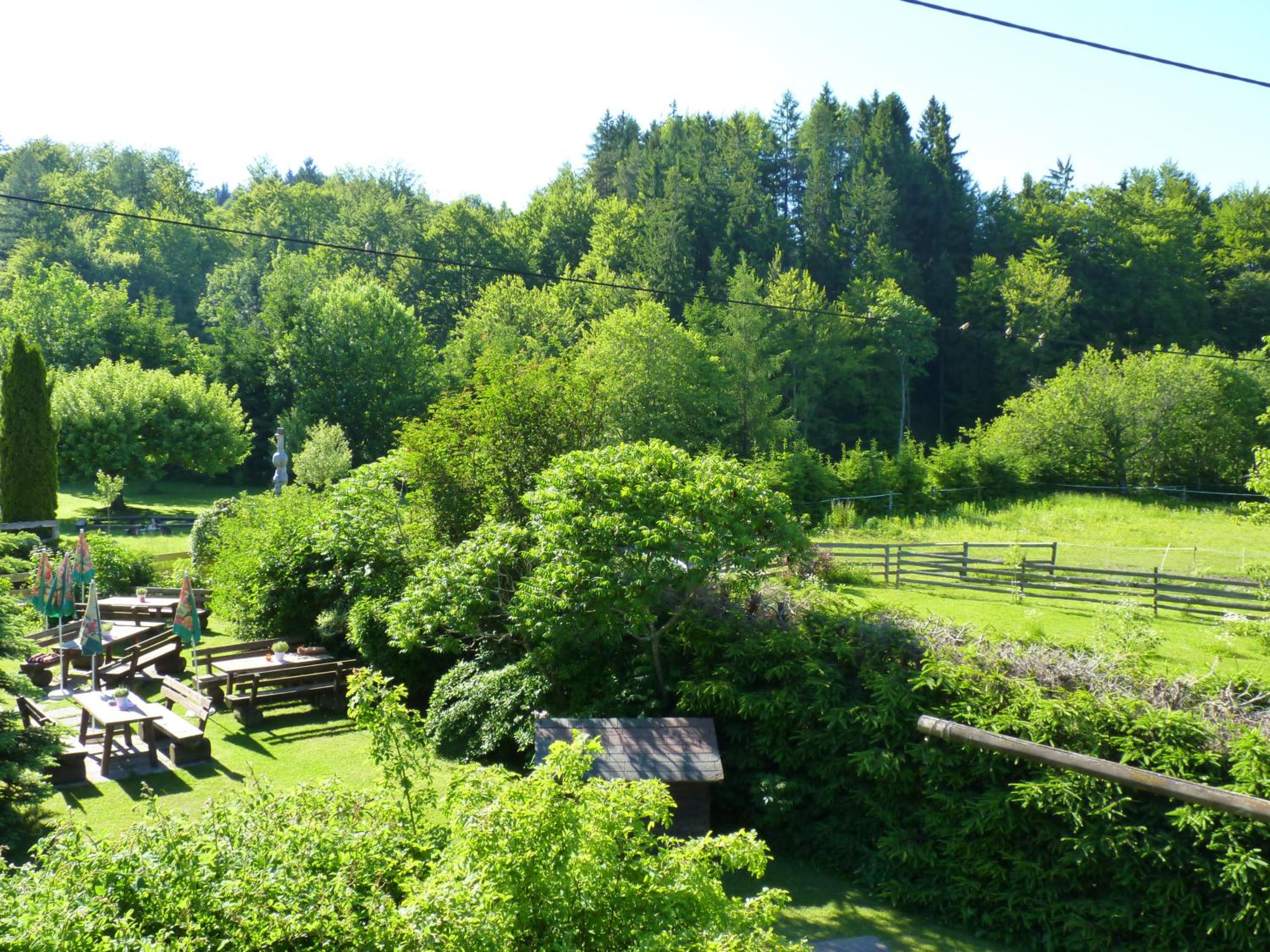 Photo 49