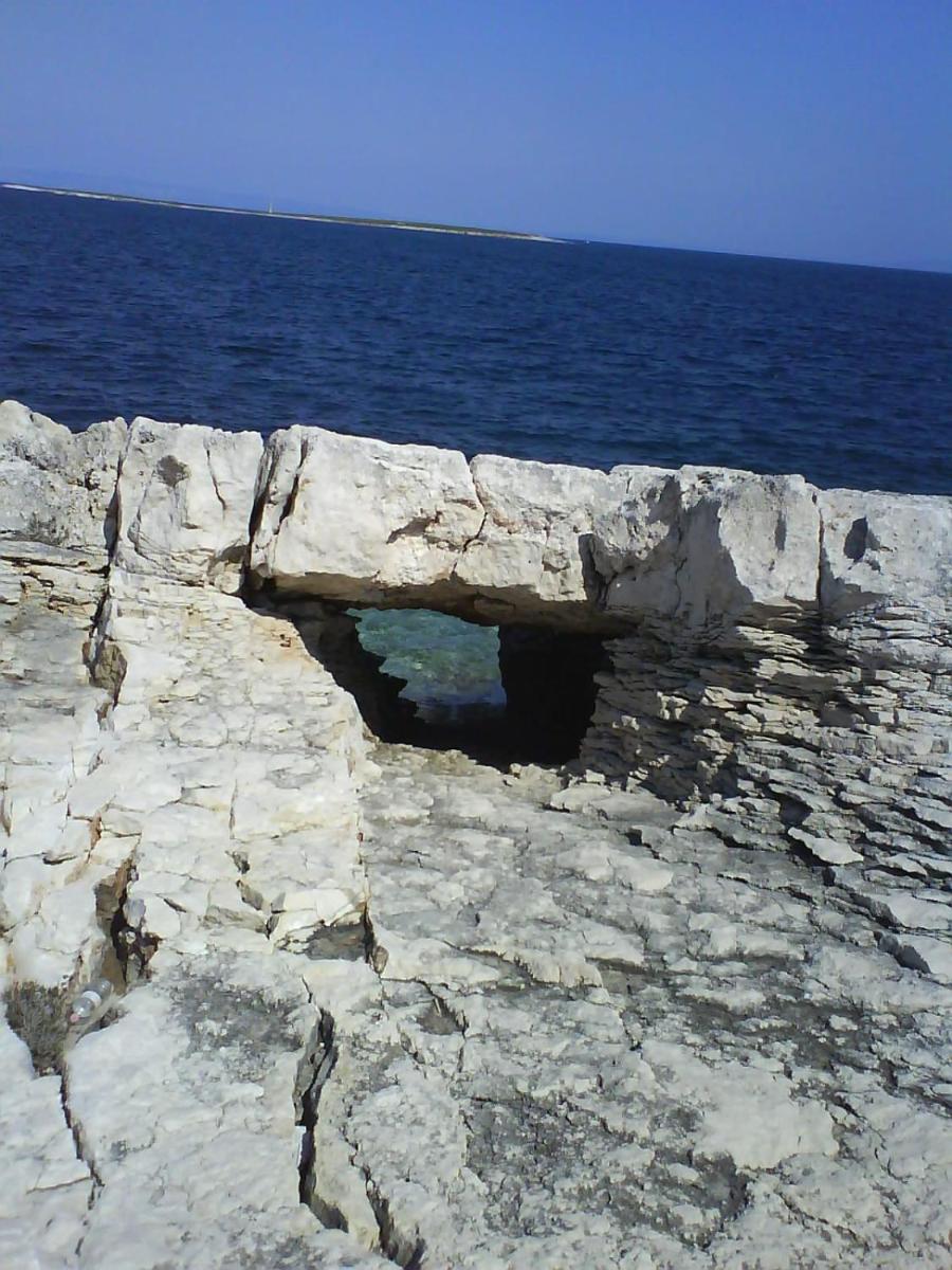 Photo 40