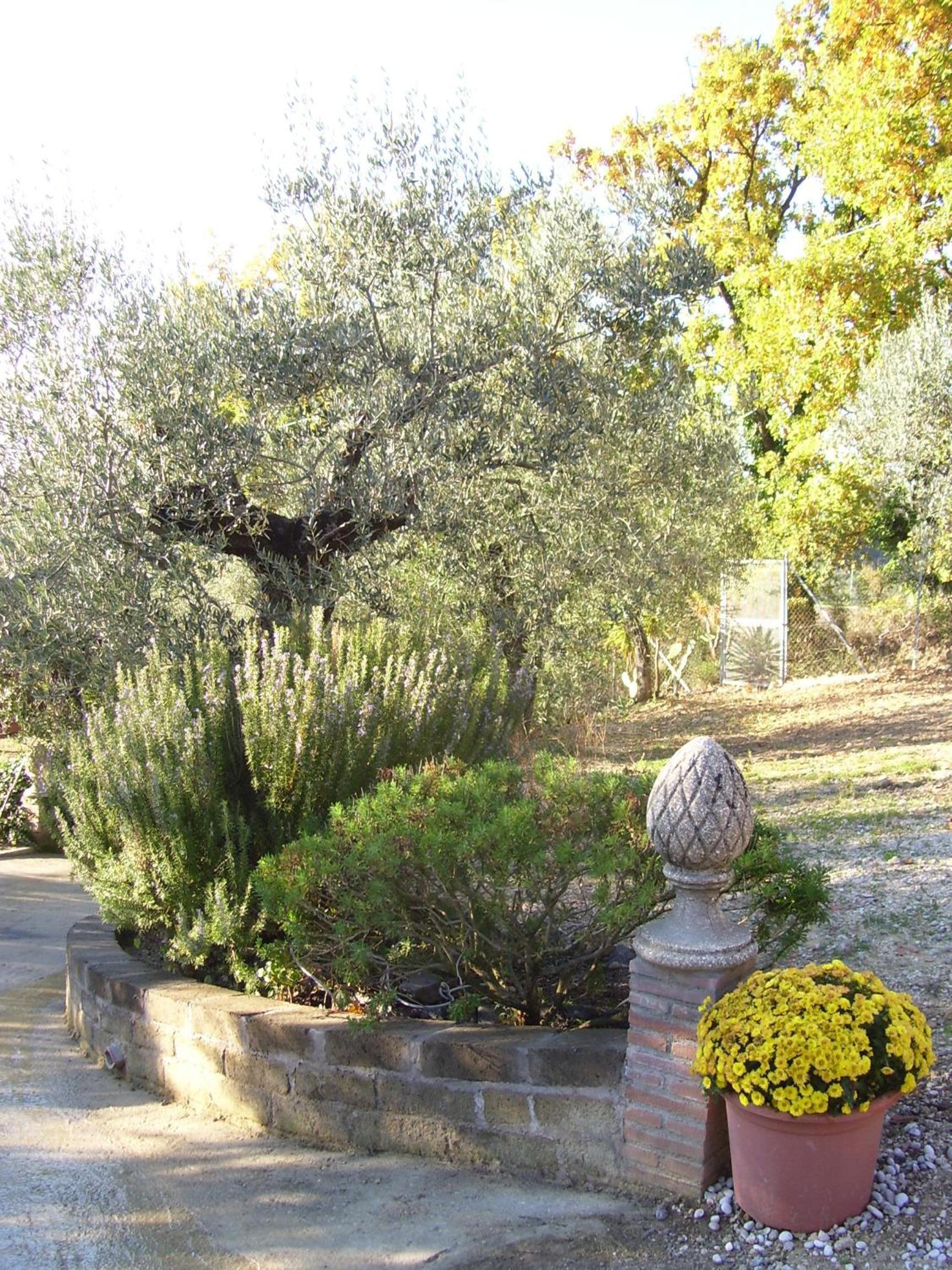 Photo 22