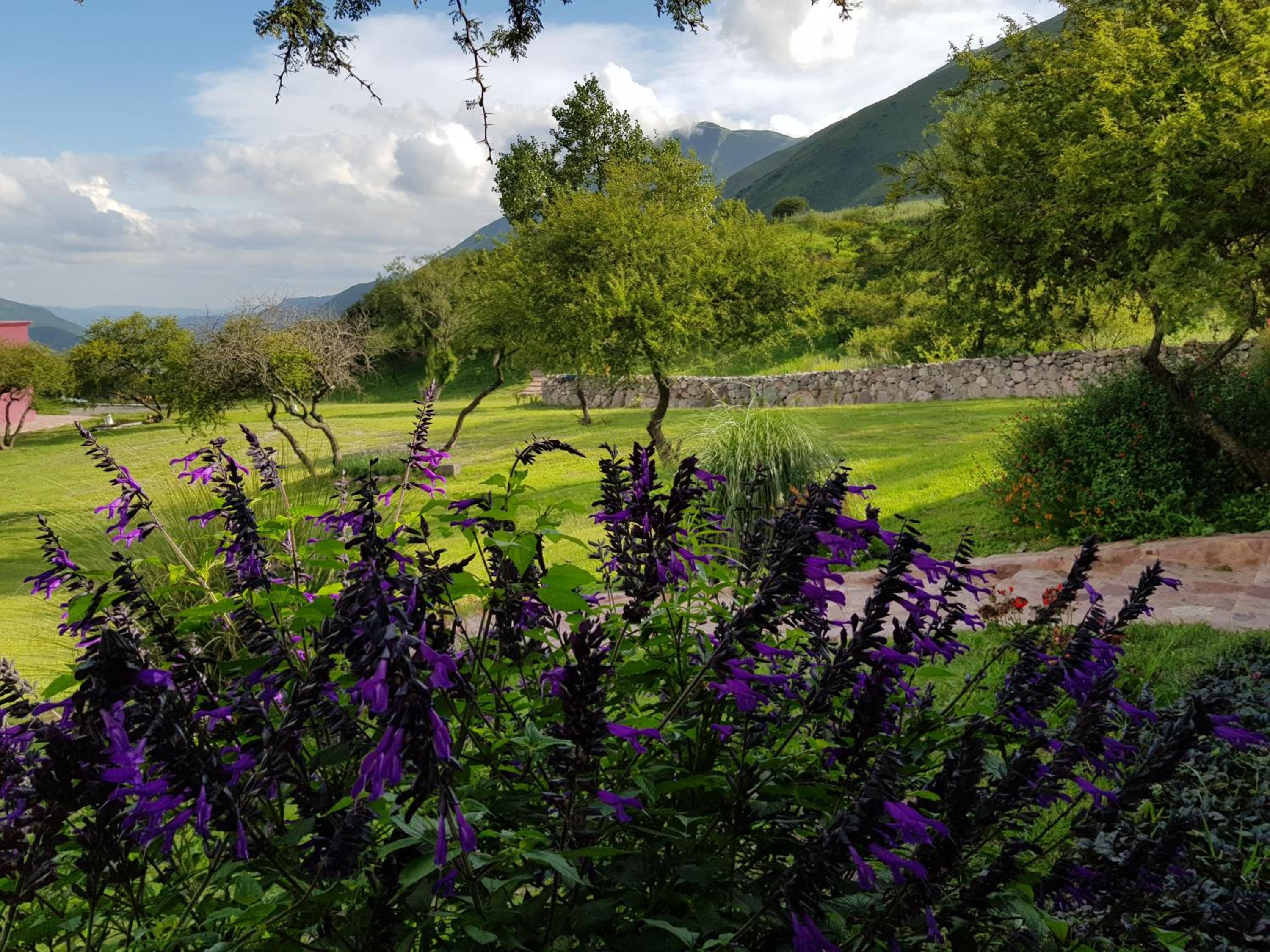 La Morada