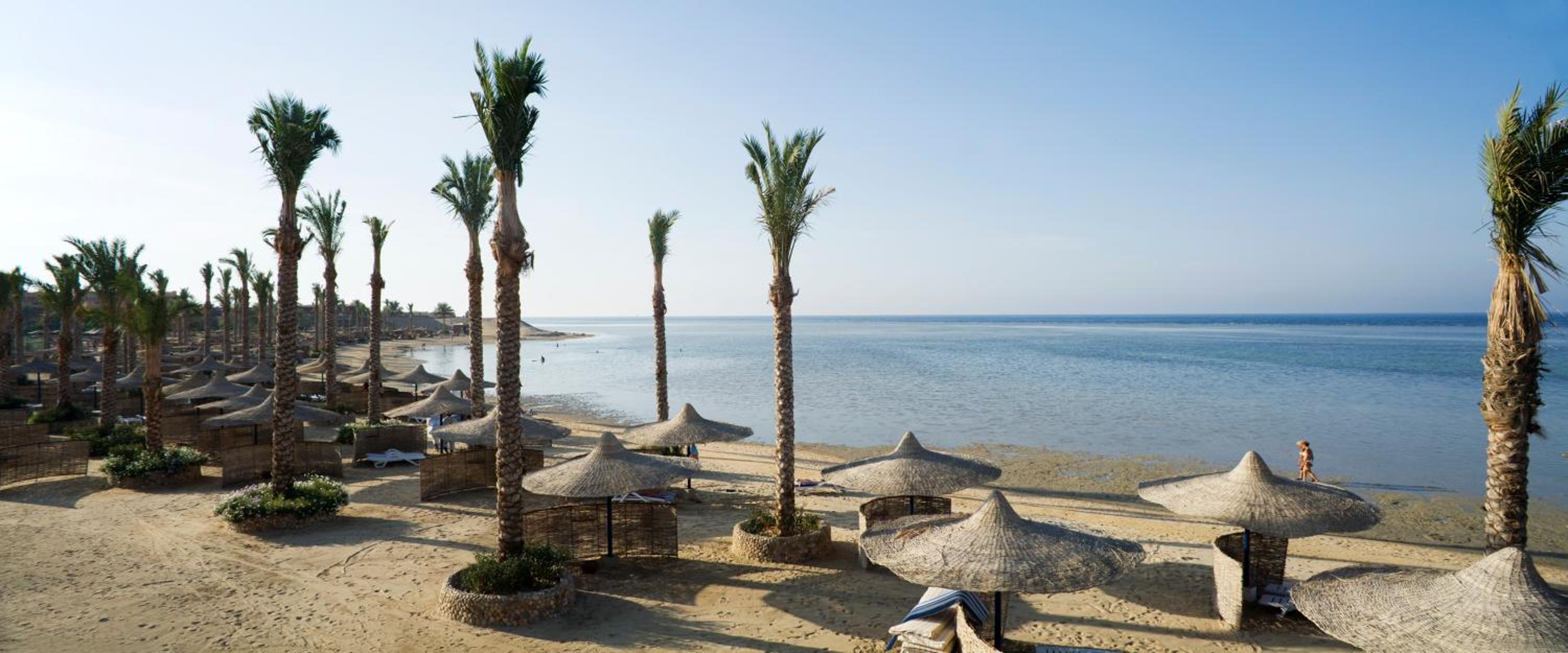 Blend Elphistone Resort Marsa Alam — photo 128
