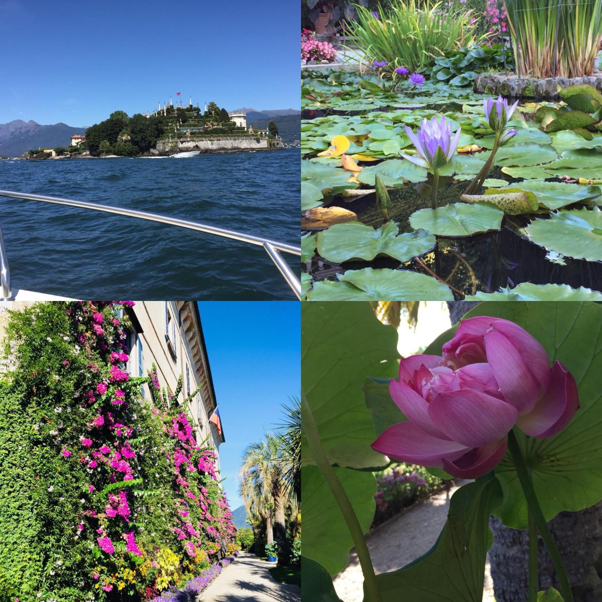 Lakeside Lago Maggiore, photo 14