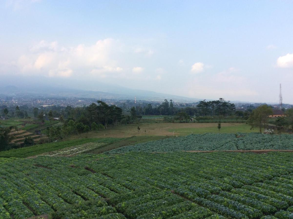 Villa Mutiara Batu view 3