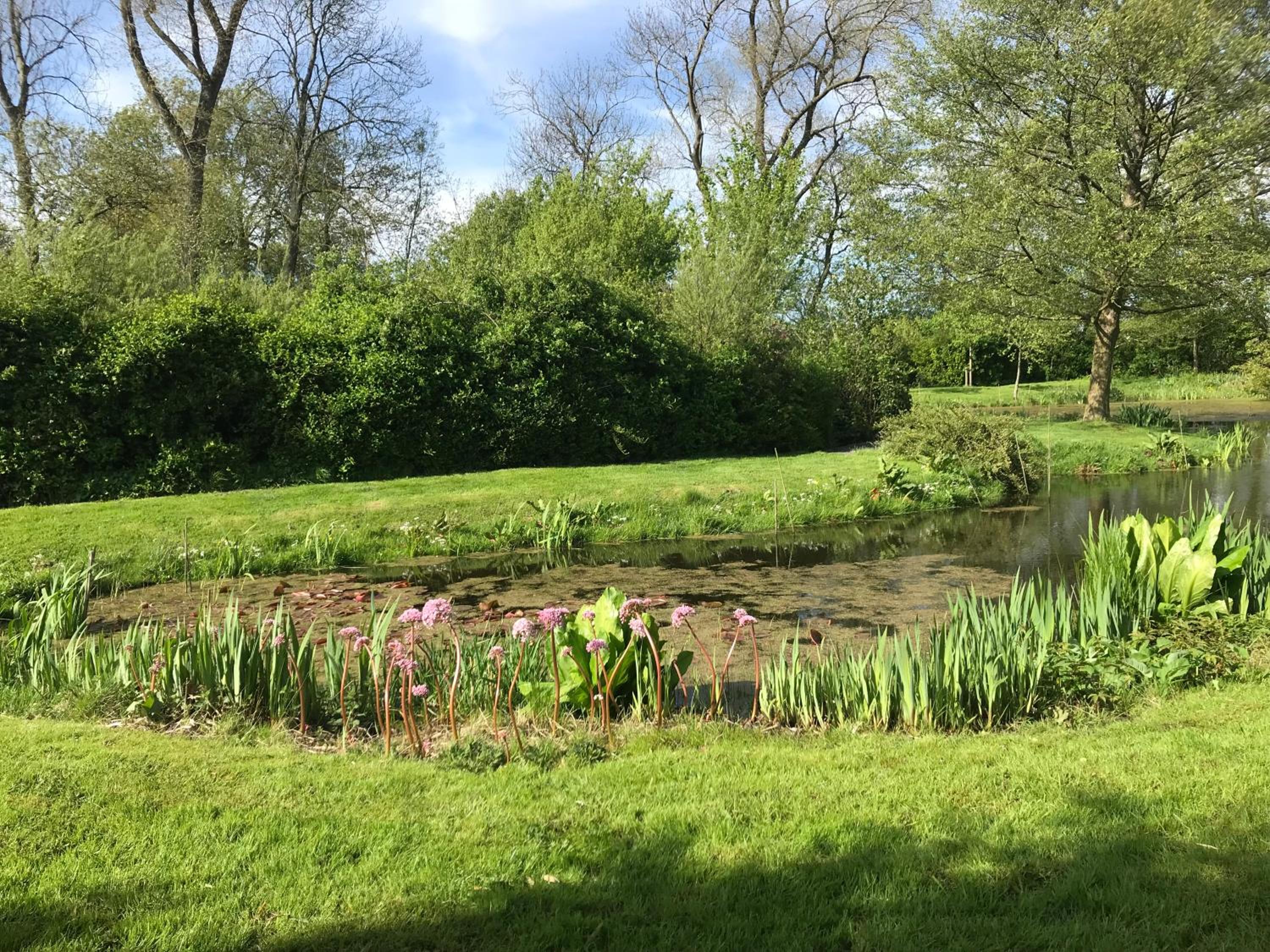 Photo 26