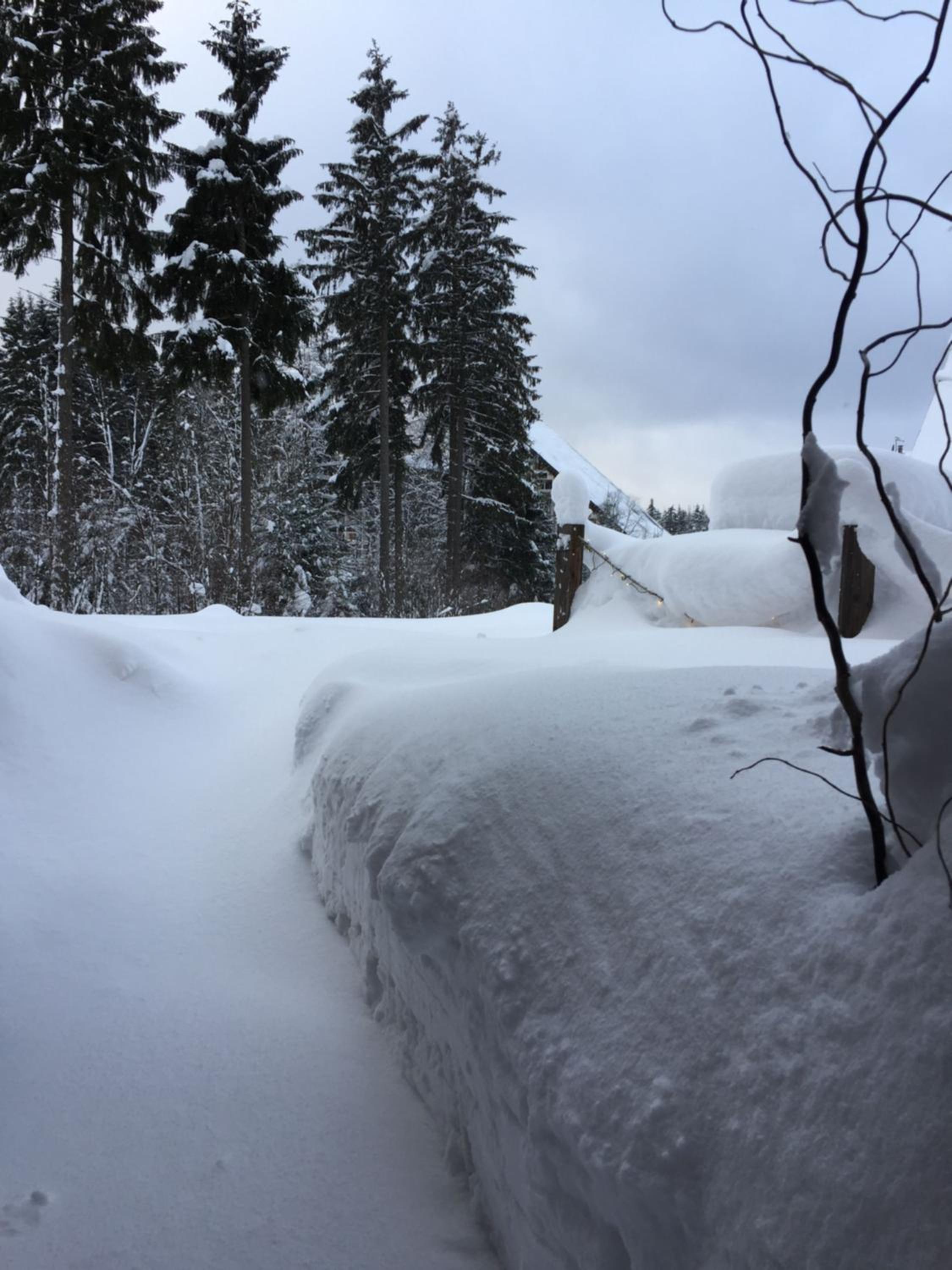 HT Chalets Harrachov view 4