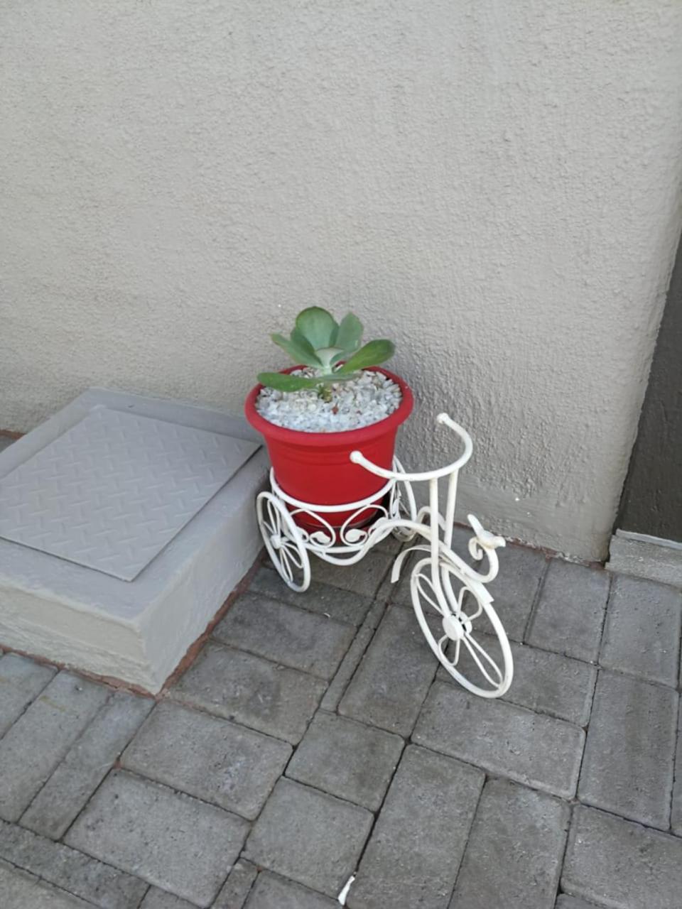 Photo 32