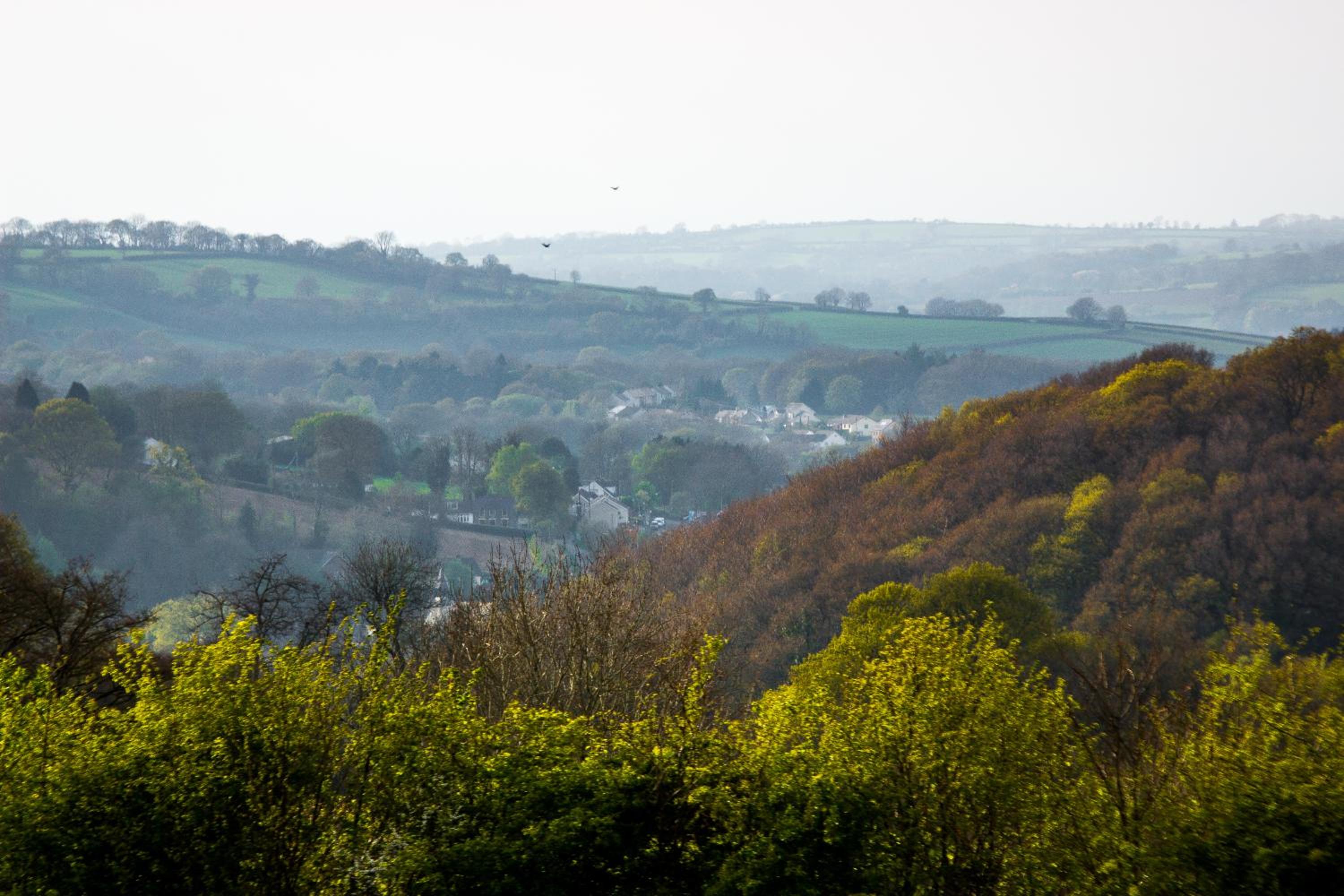 Ceridwen Glamping, double decker bus and Yurts