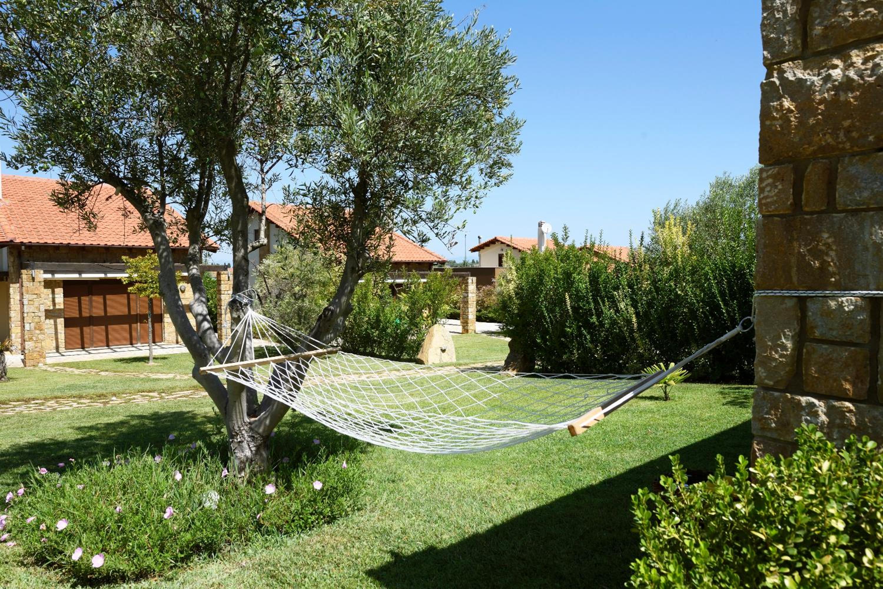 Photo 41