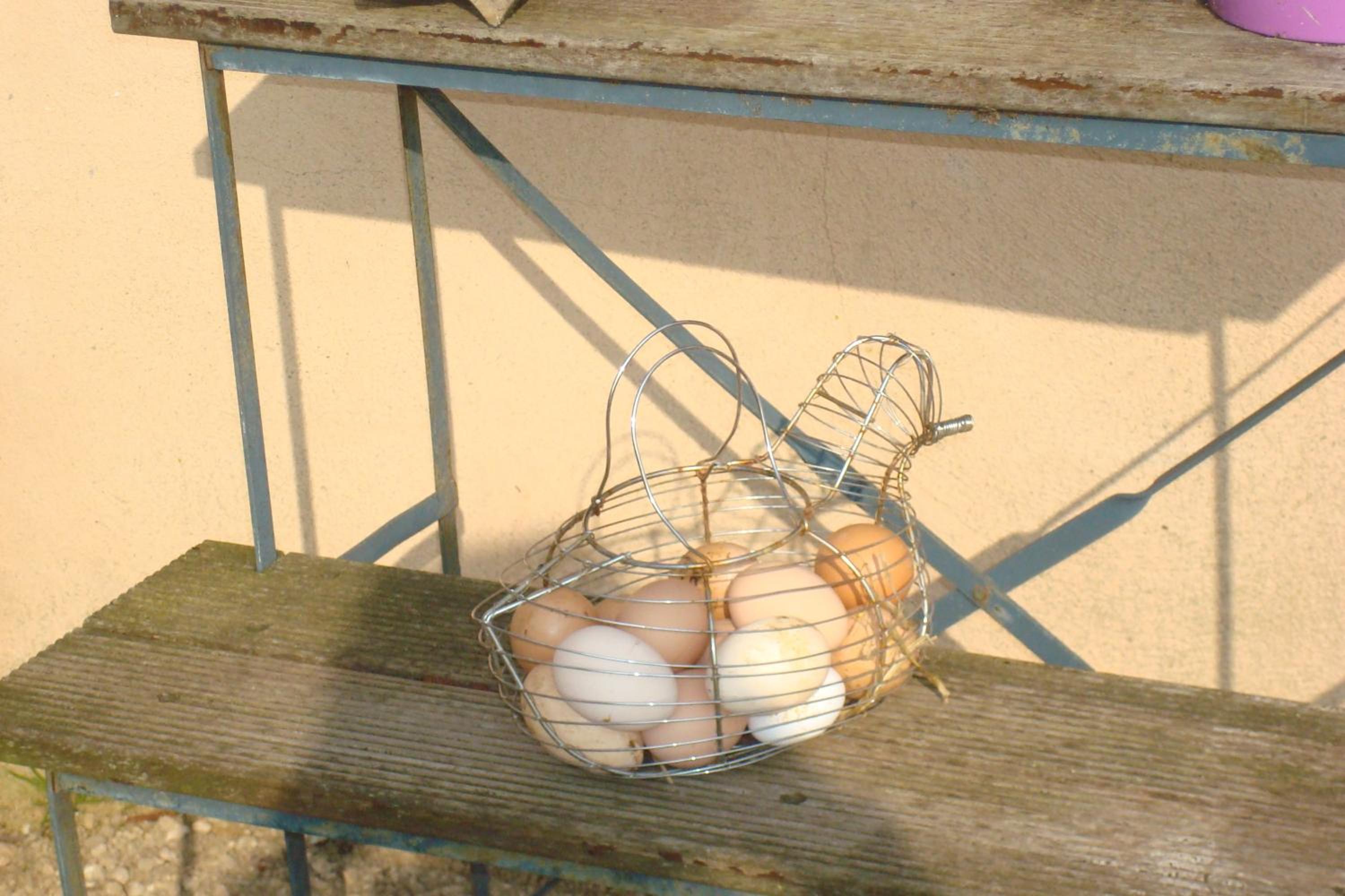 Photo 11