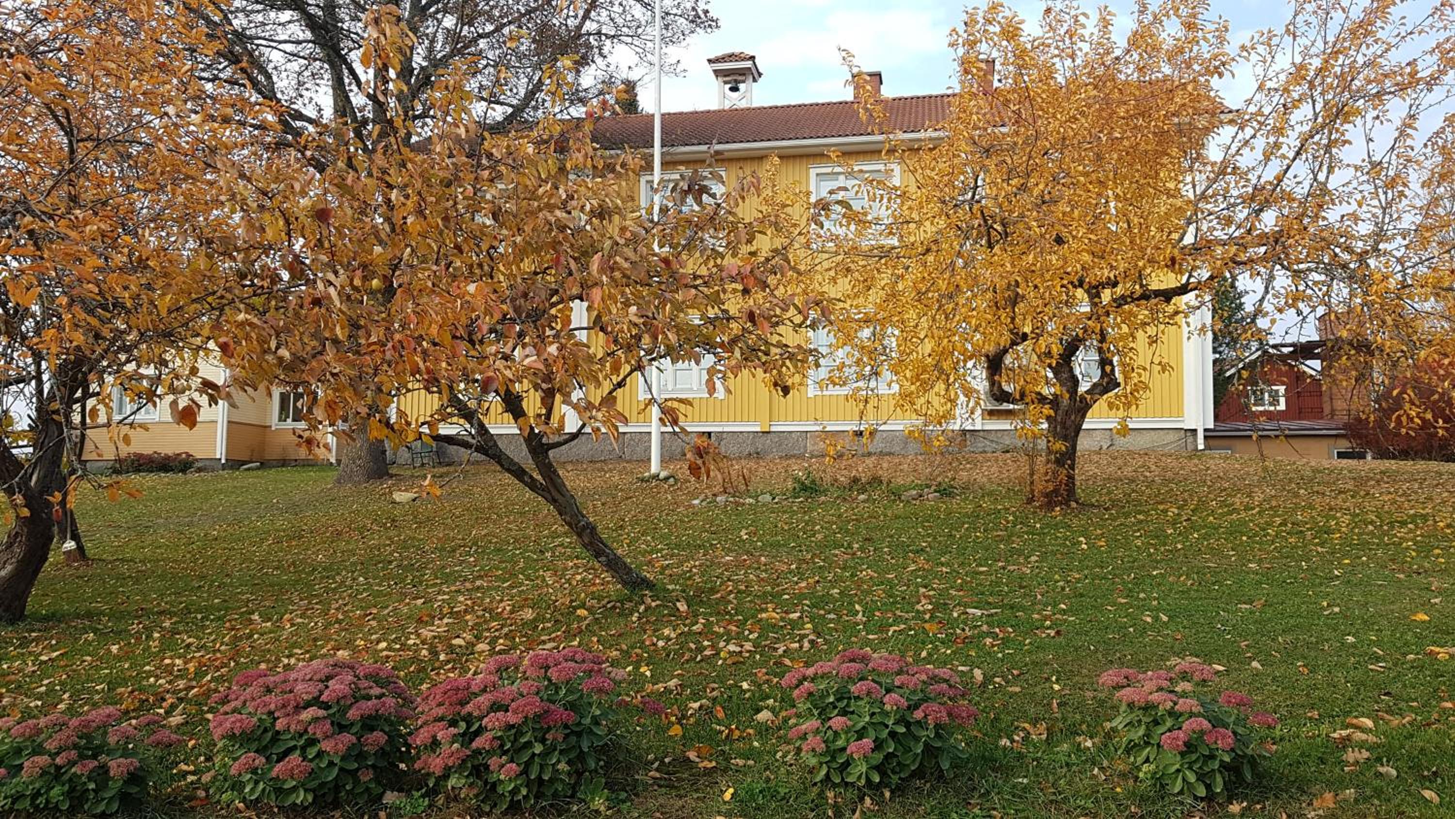 Photo 13