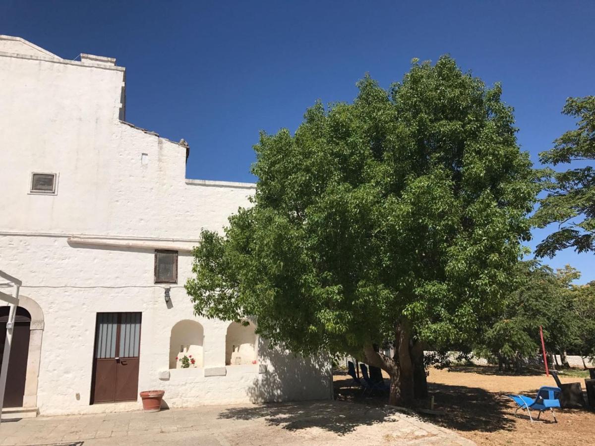 B&B Masseria Santanna view 2