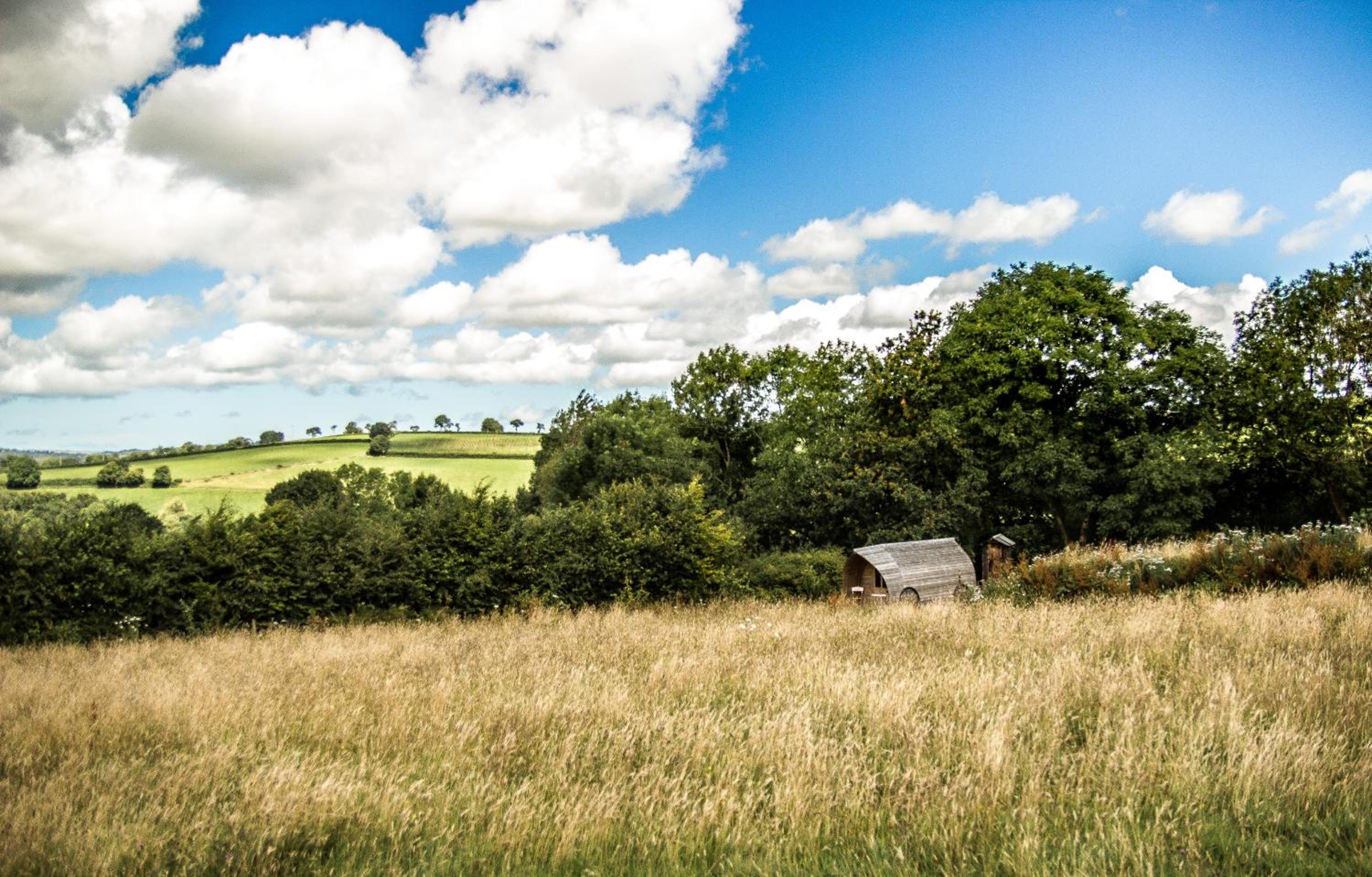 Ceridwen Glamping, double decker bus and Yurts