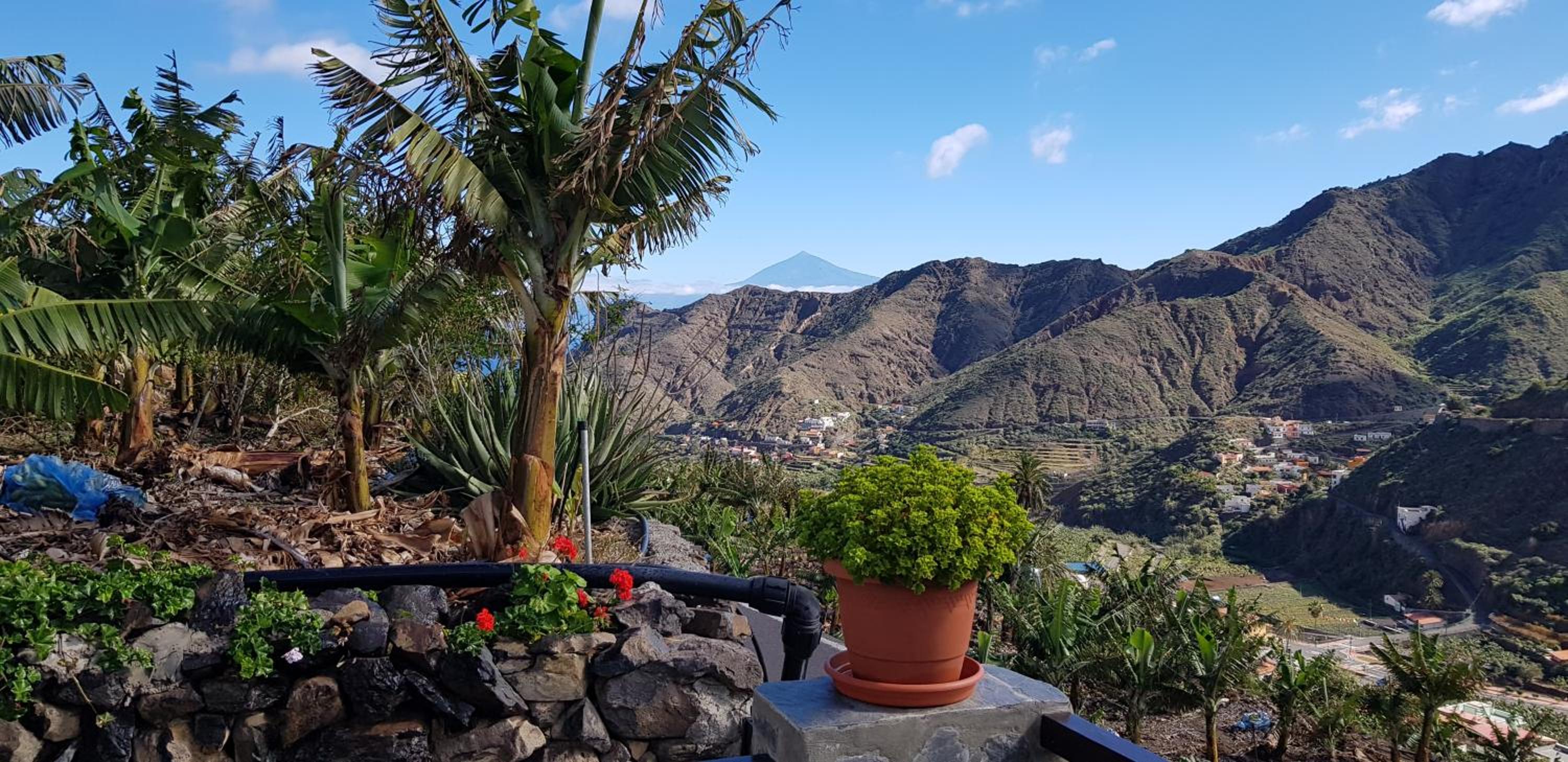 Casa Tajaraste
