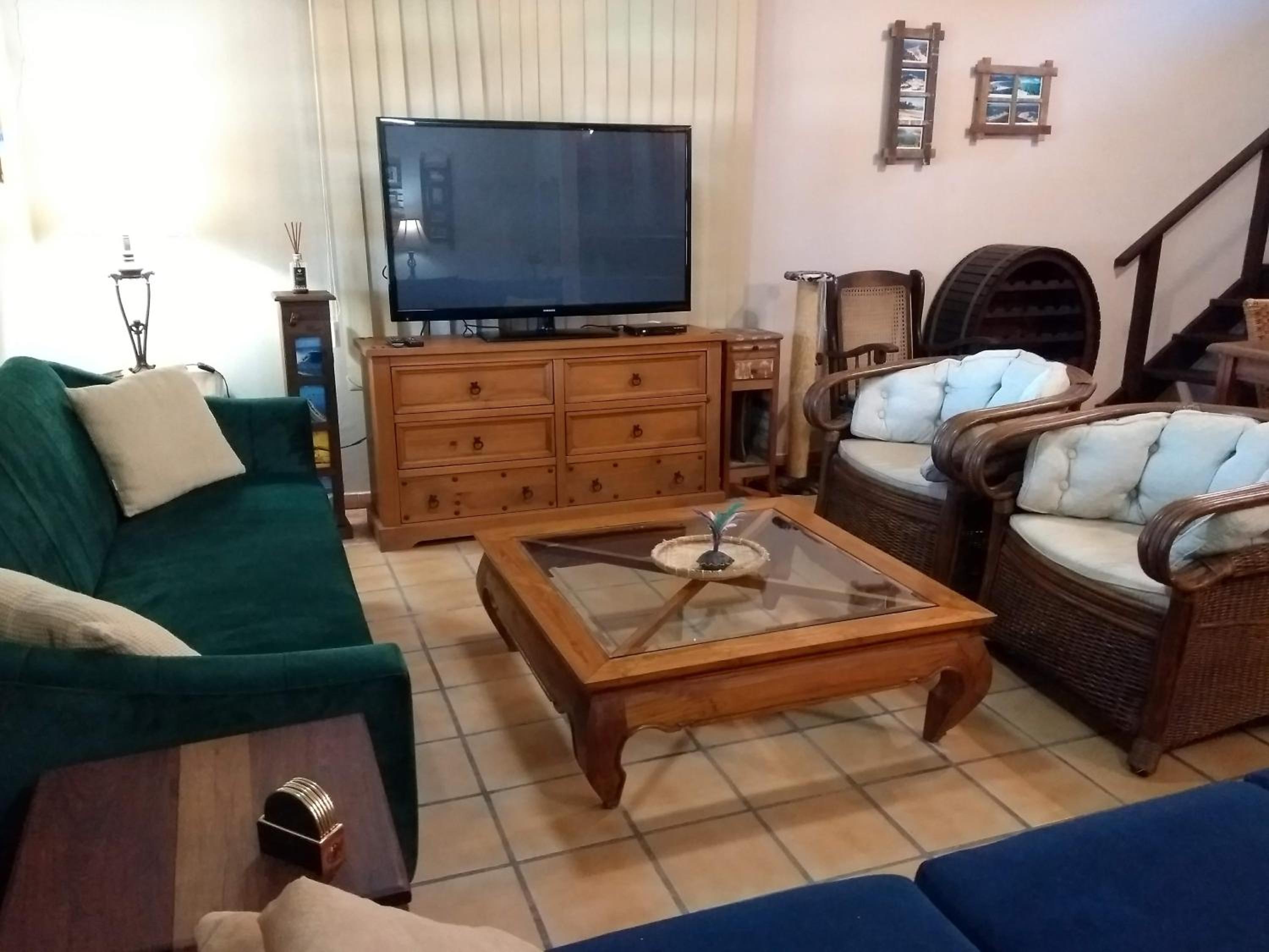 The Cats' House