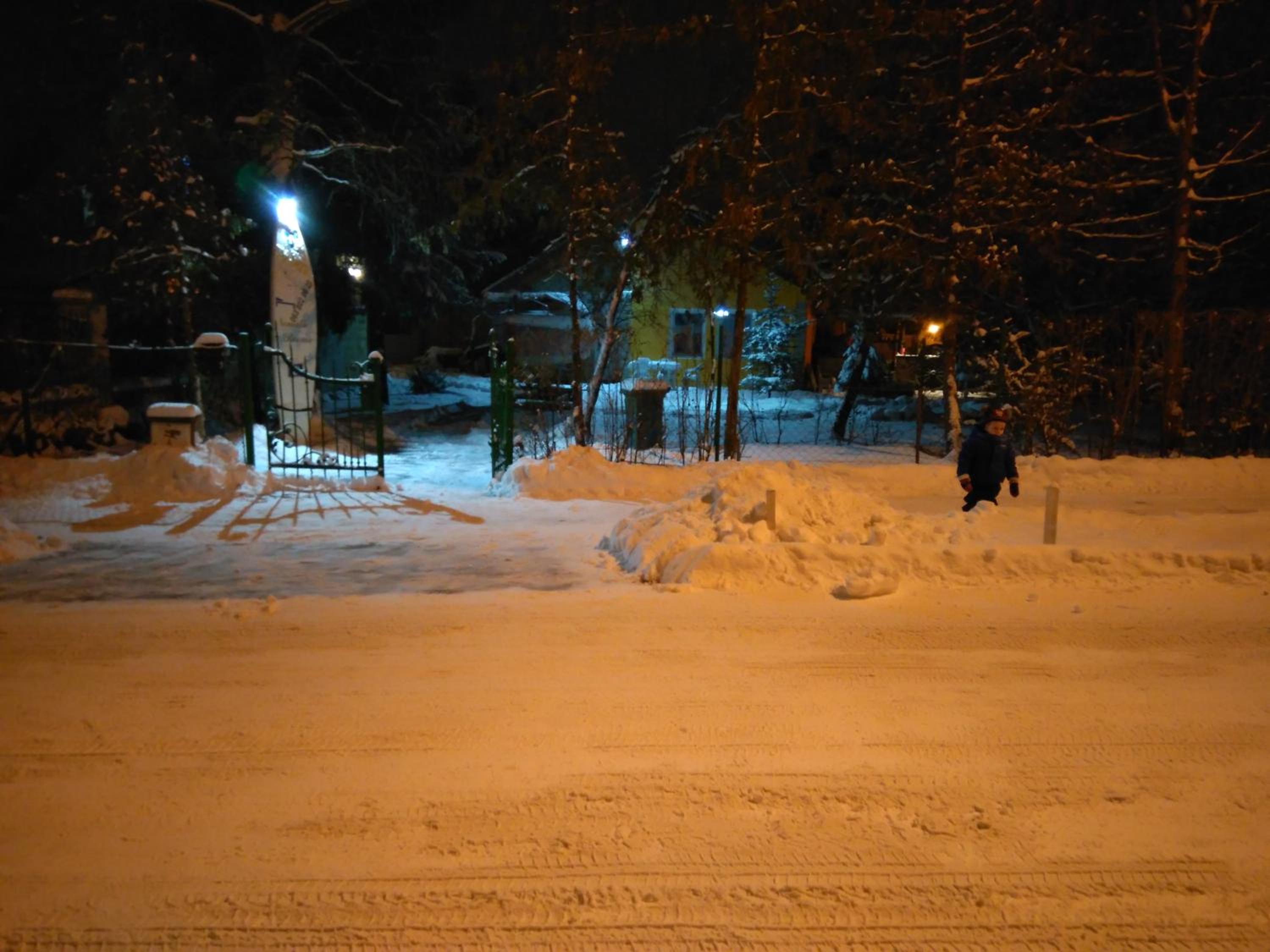 Photo 11