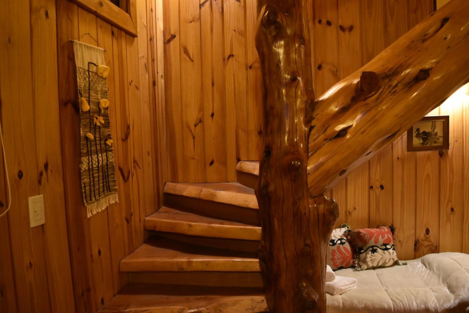 Cabaña Del Árbol