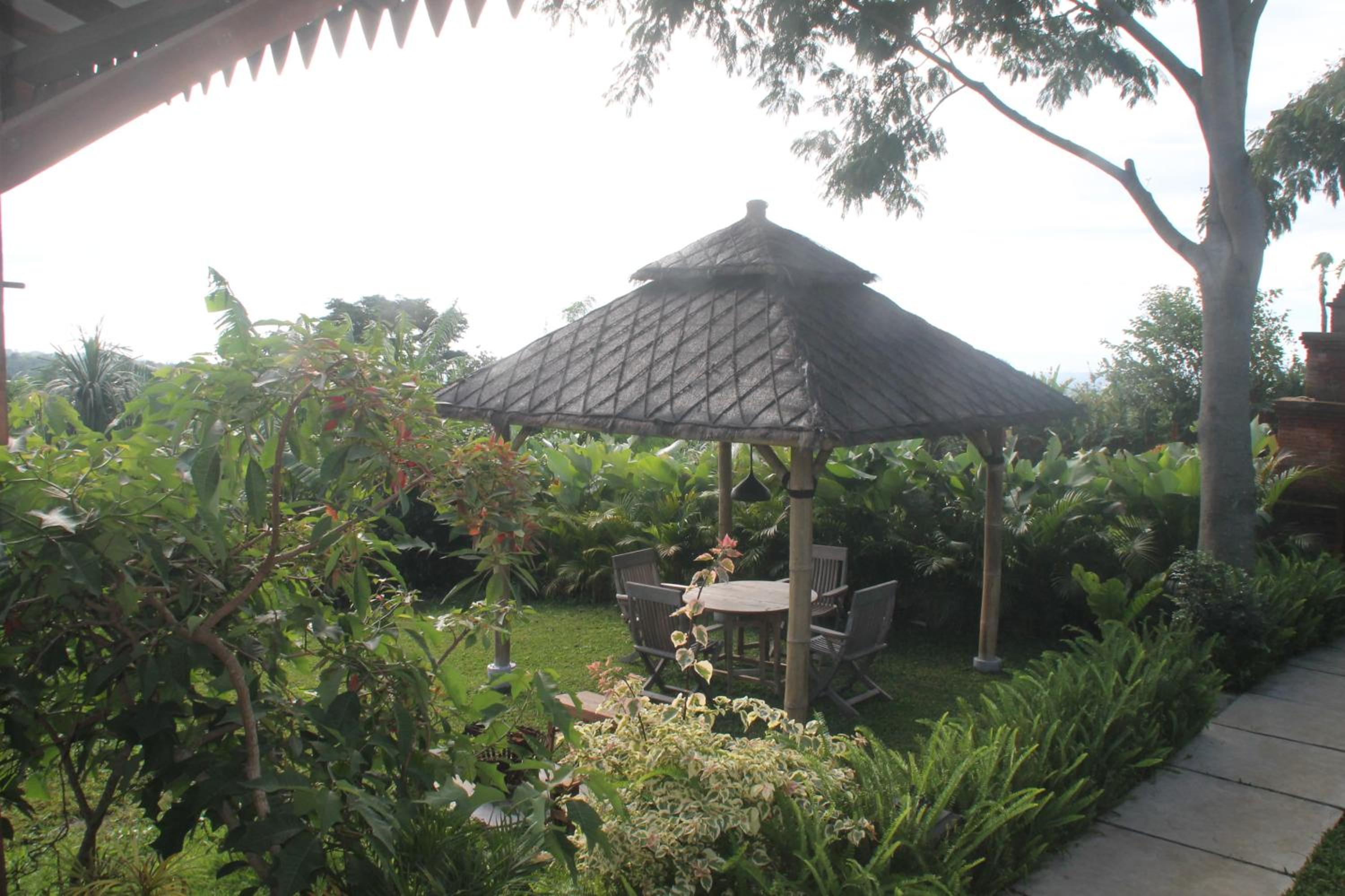 Photo 43
