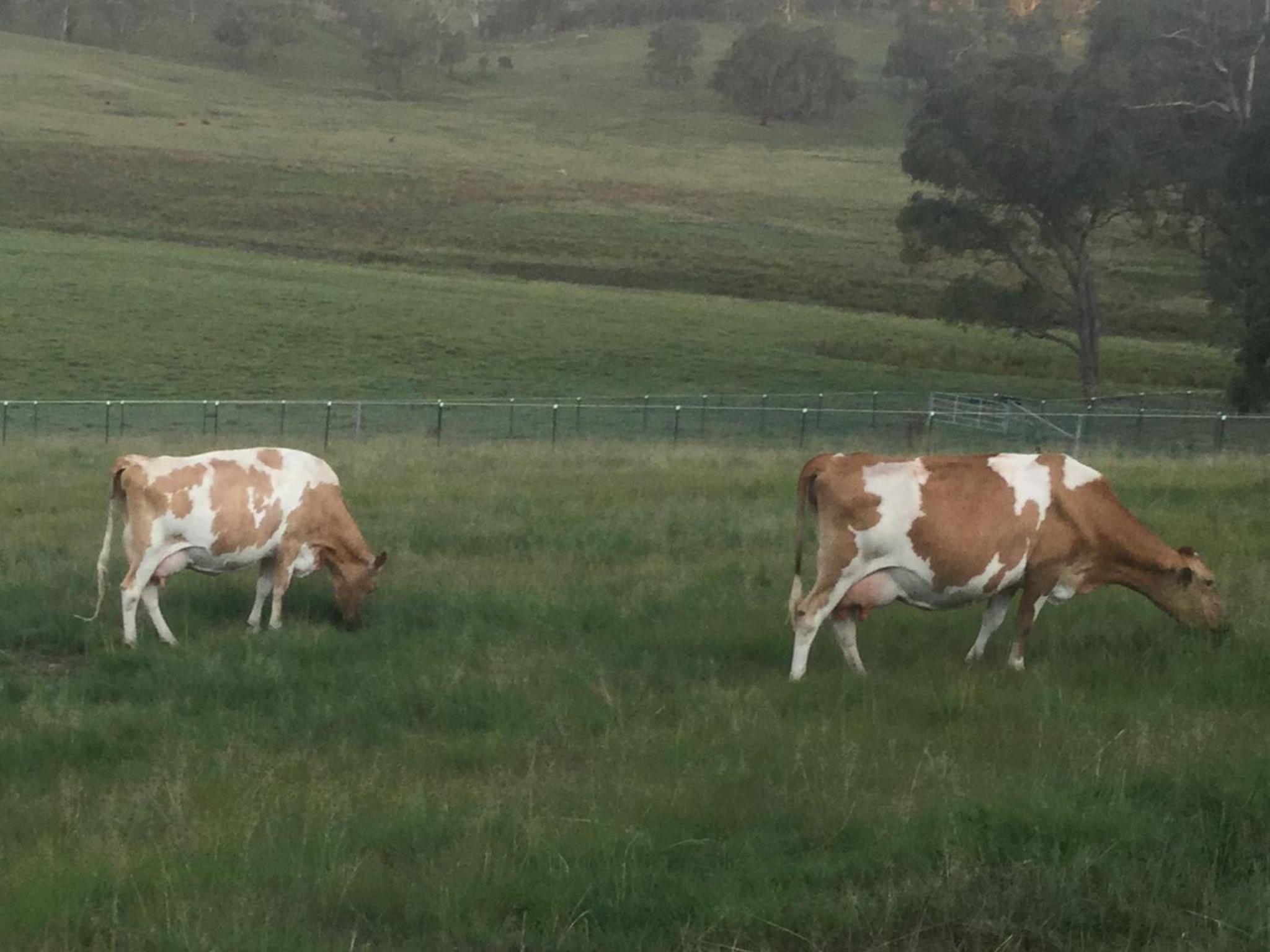 Donegal Farmstay view 4