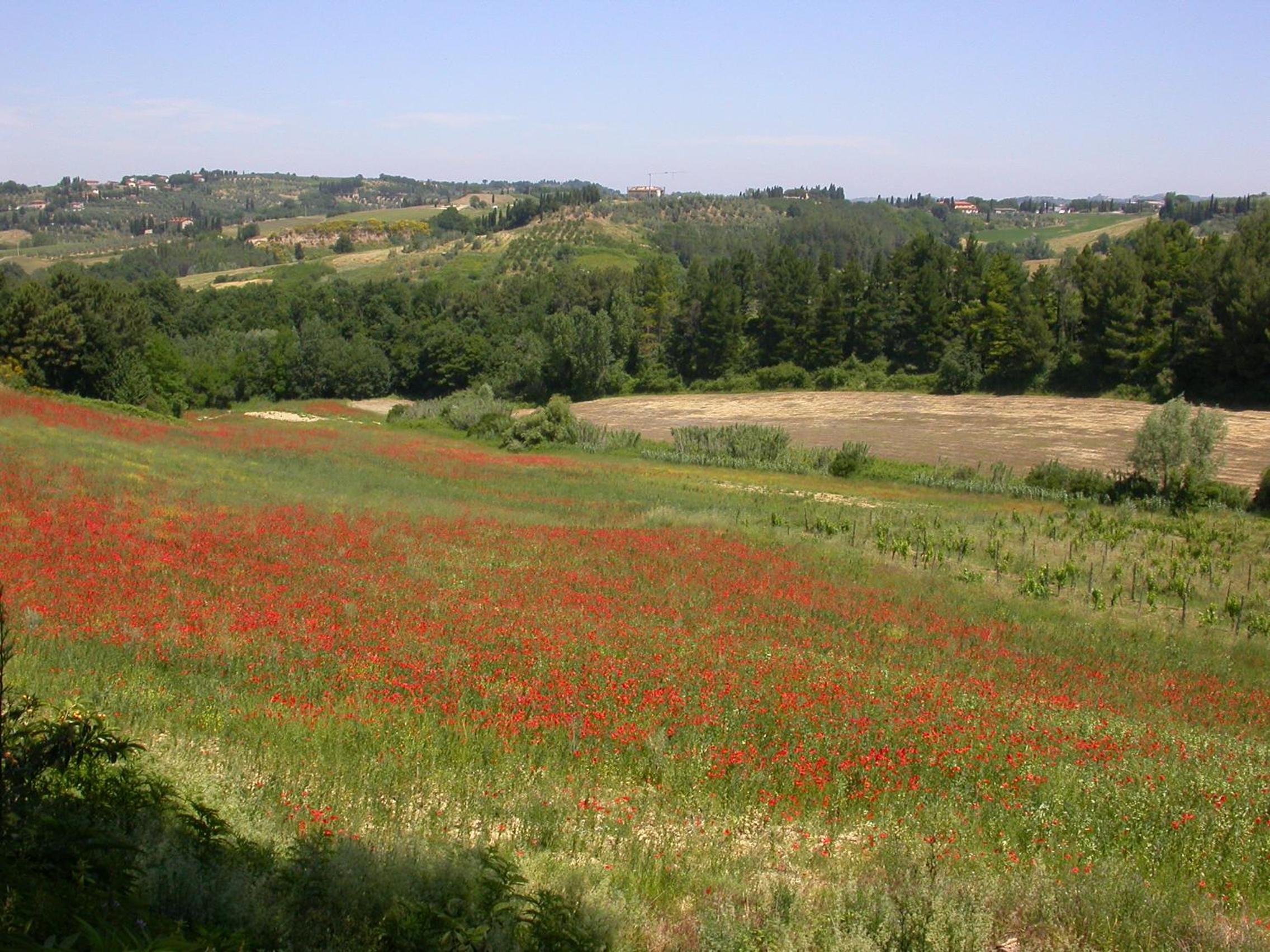 Agriturismo I Moricci