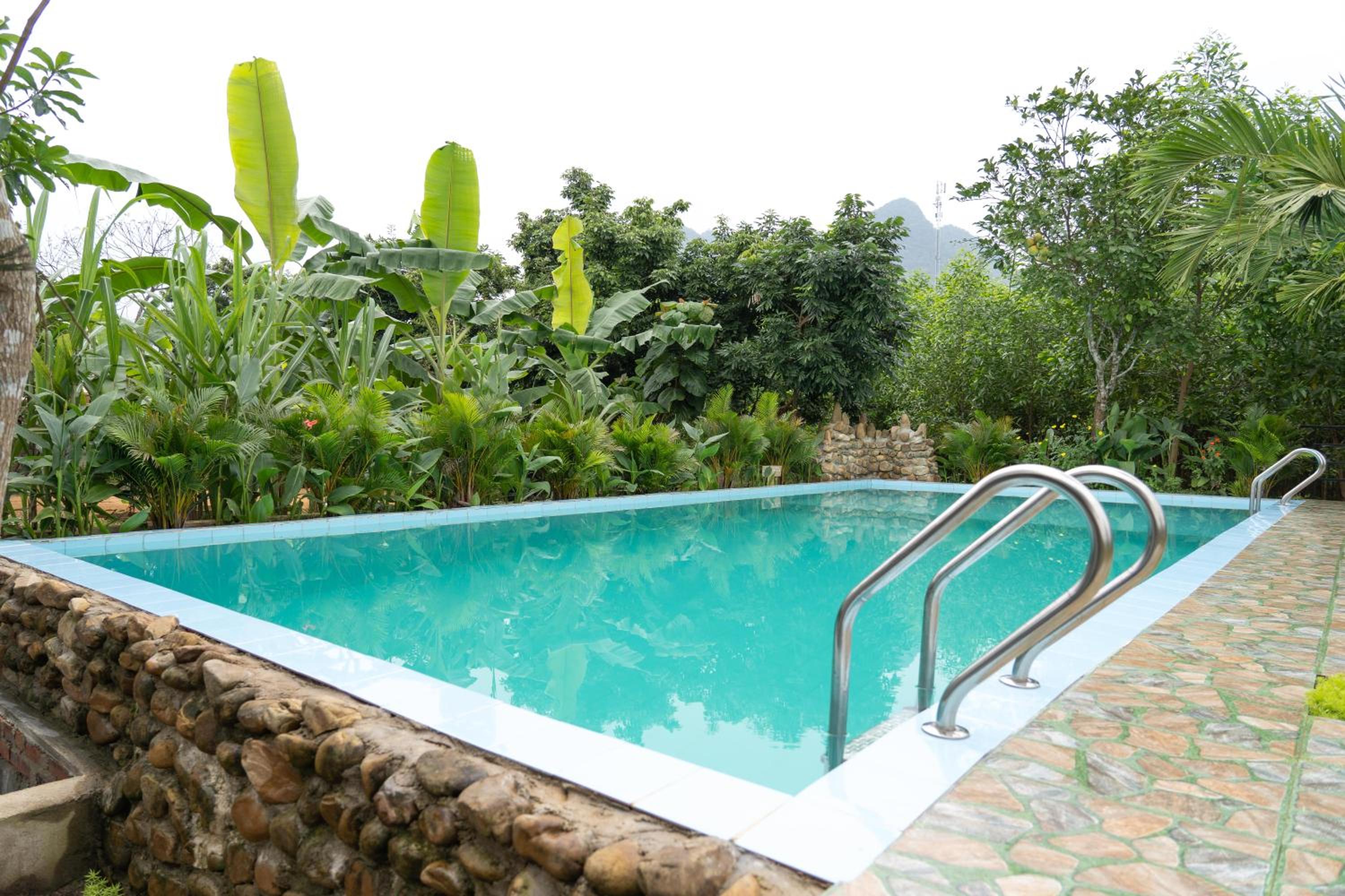 Jungle Boss Homestay