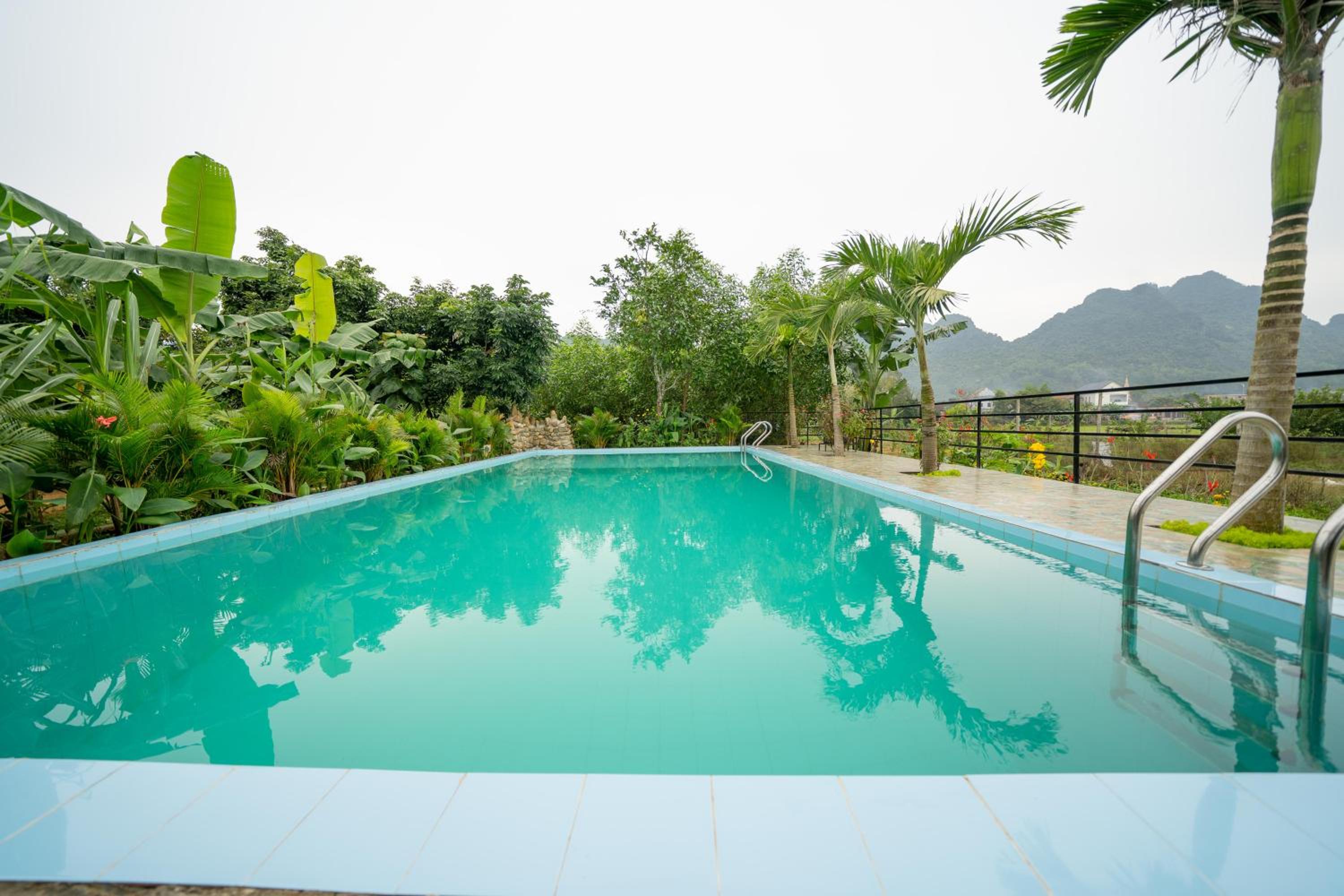 Jungle Boss Homestay