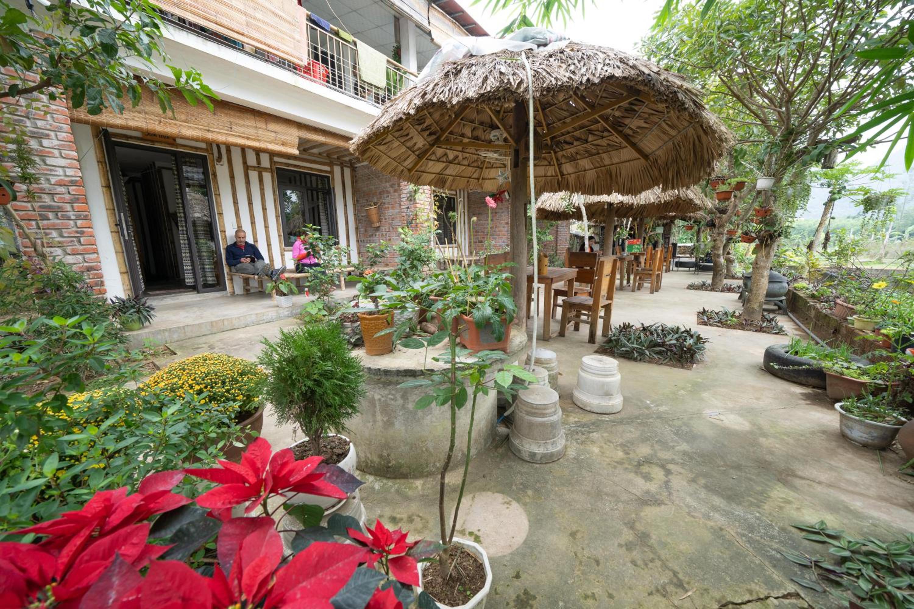 Jungle Boss Homestay
