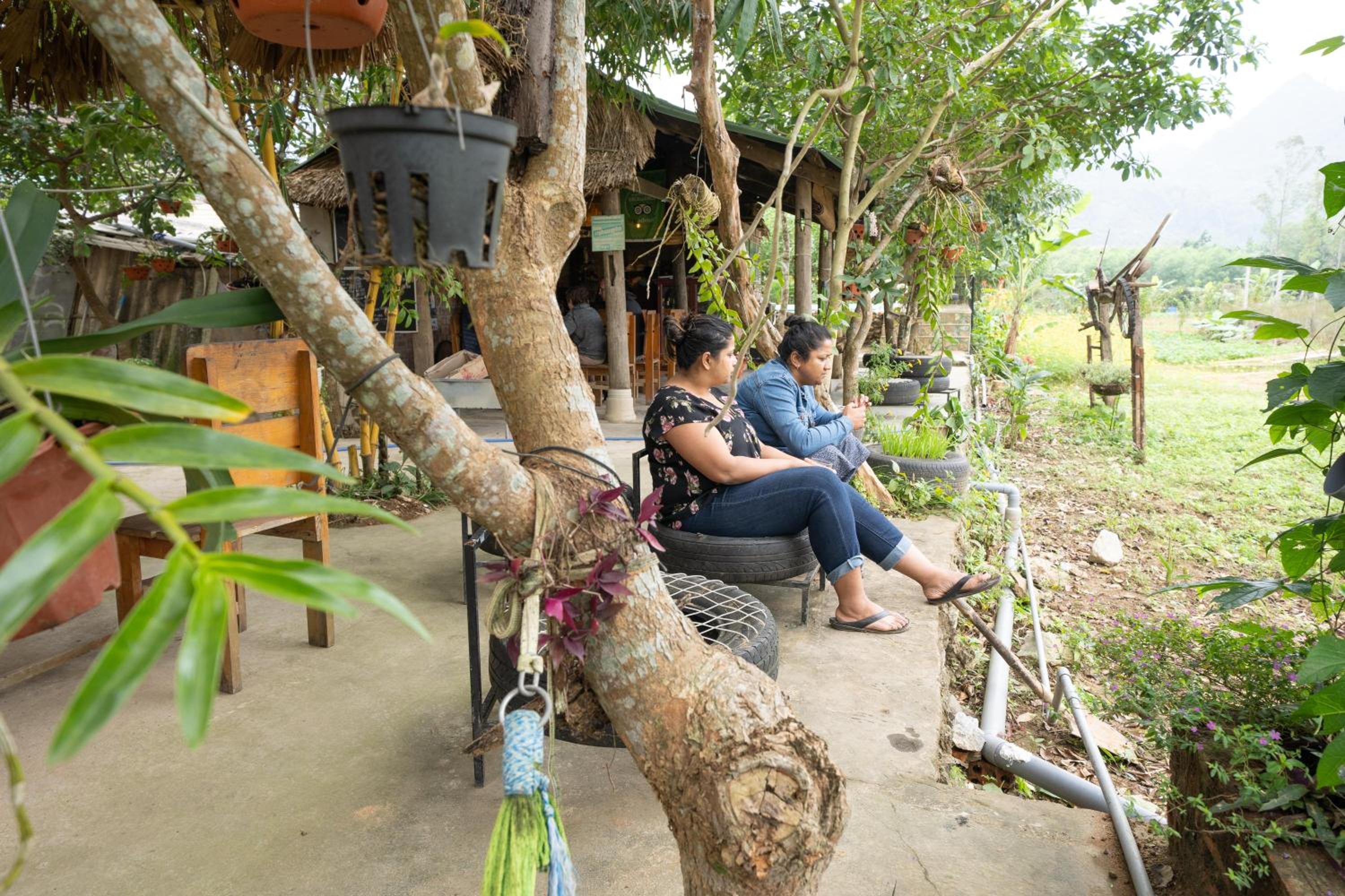 Jungle Boss Homestay