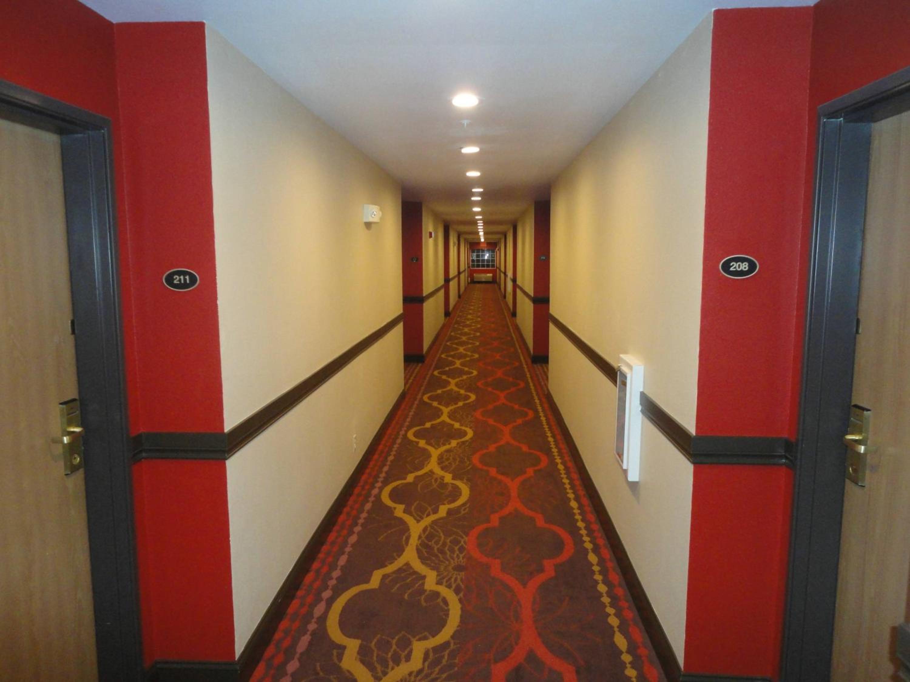 Photo 15