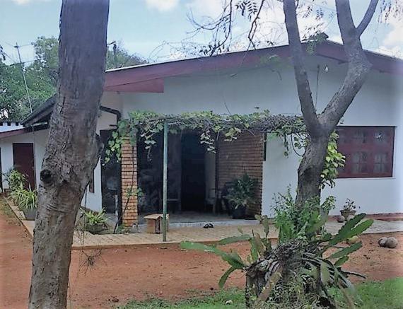 Olivia HomeStay