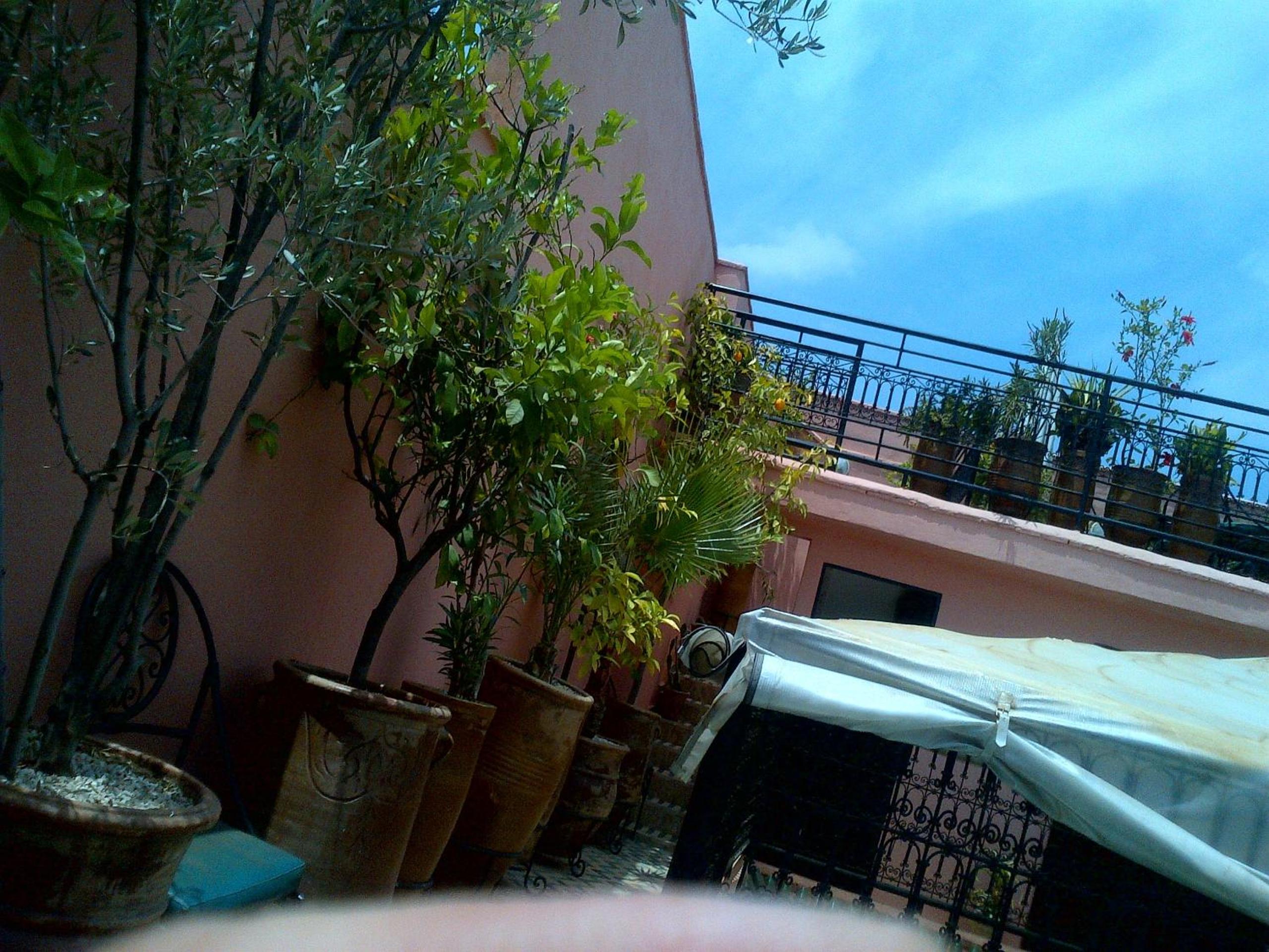 roof