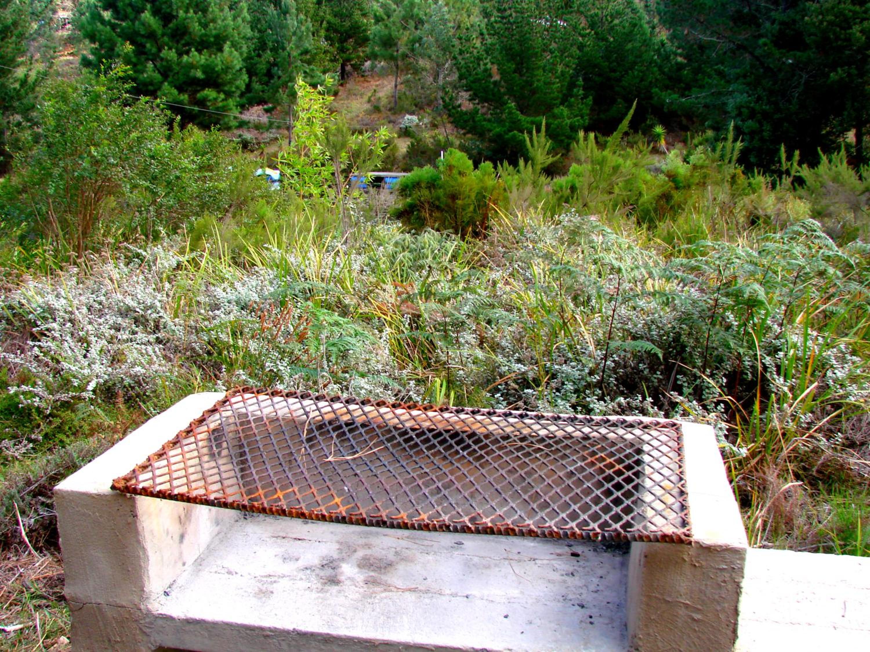 Photo 28
